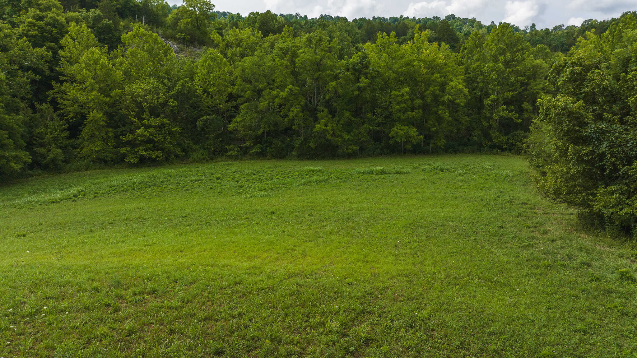 For Sale: Unrestricted Mountain Paradise in Eidson, Hawkins County, TN