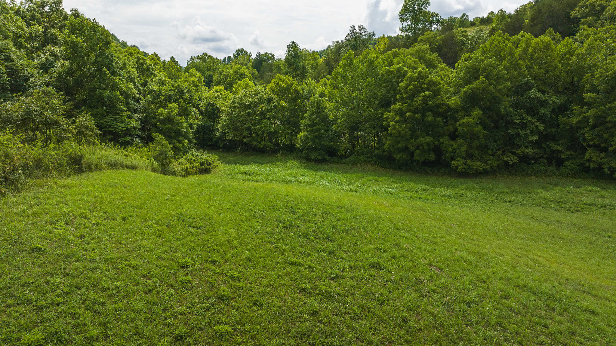 For Sale: Unrestricted Mountain Paradise in Eidson, Hawkins County, TN