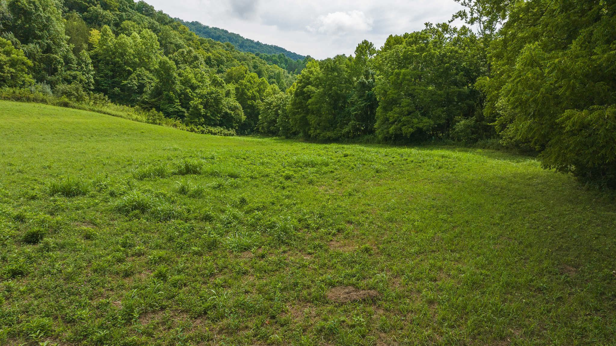 For Sale: Unrestricted Mountain Paradise in Eidson, Hawkins County, TN
