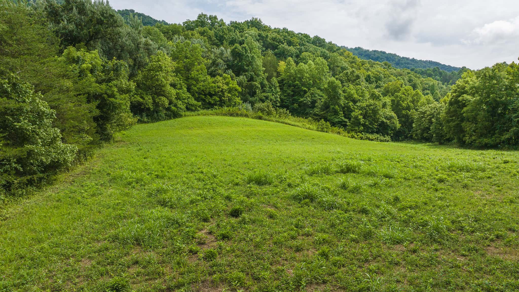 For Sale: Unrestricted Mountain Paradise in Eidson, Hawkins County, TN