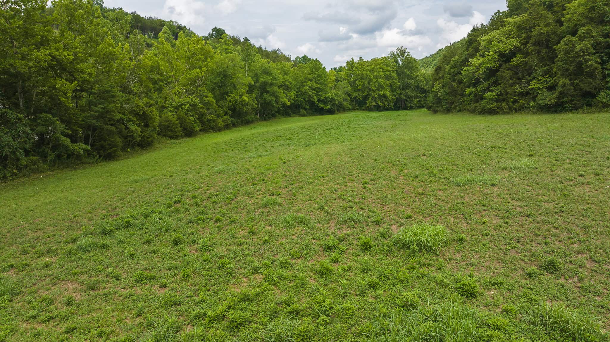 For Sale: Unrestricted Mountain Paradise in Eidson, Hawkins County, TN
