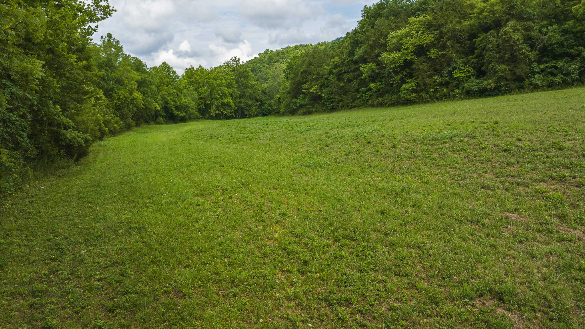 Mountain Paradise in Hawkins County, Tennessee