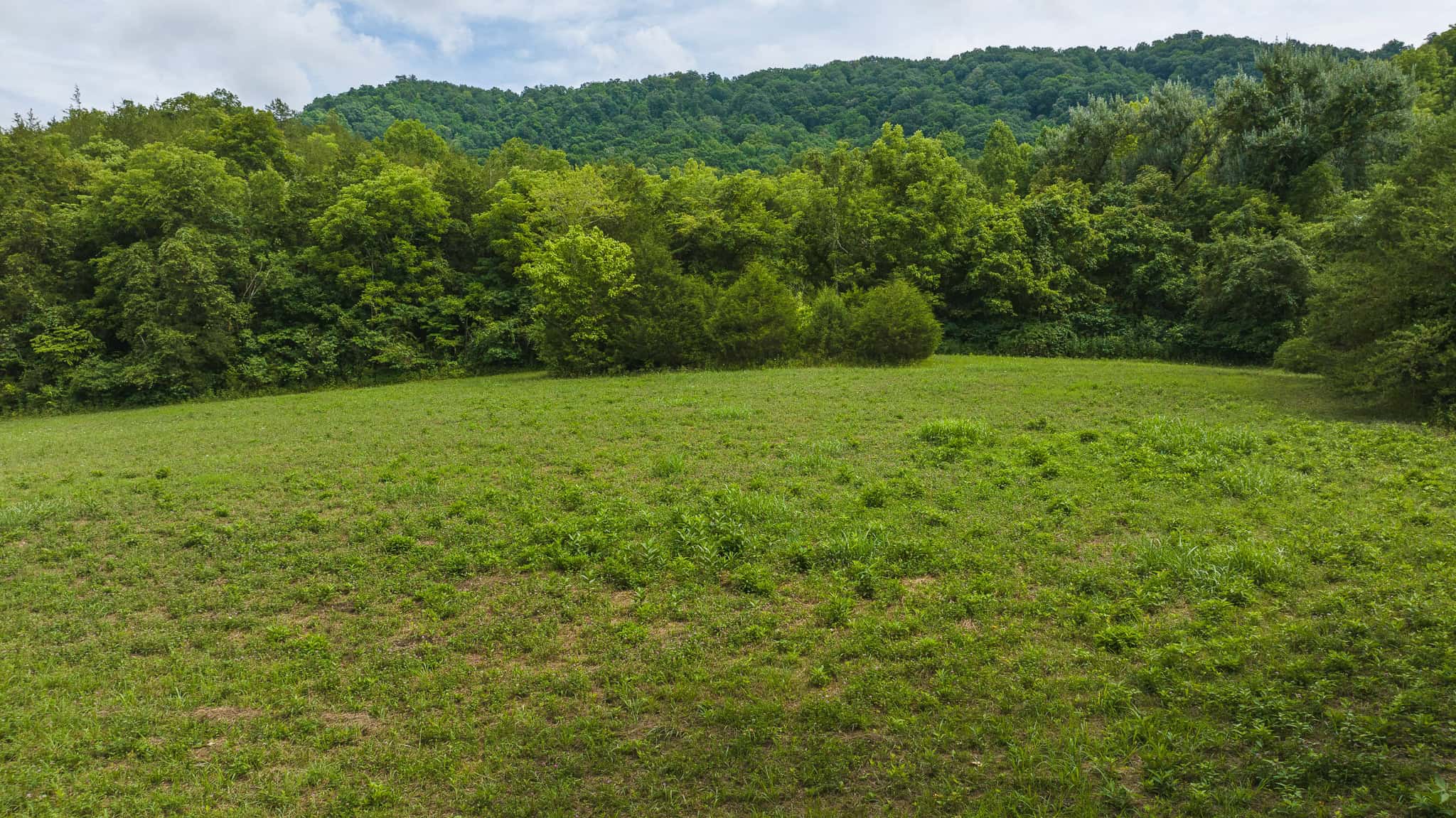 For Sale: Unrestricted Mountain Paradise in Eidson, Hawkins County, TN