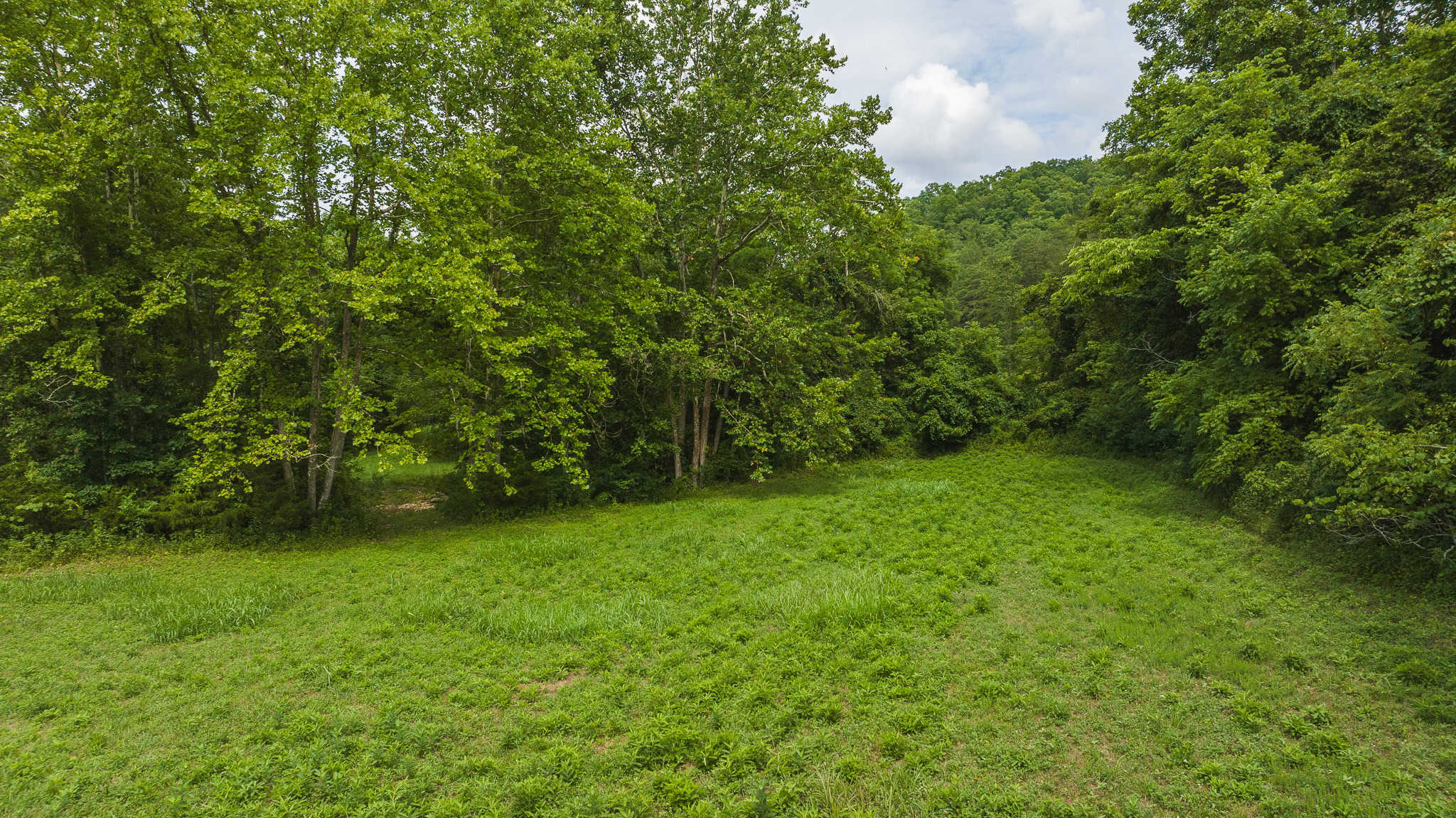 For Sale: Unrestricted Mountain Paradise in Eidson, Hawkins County, TN