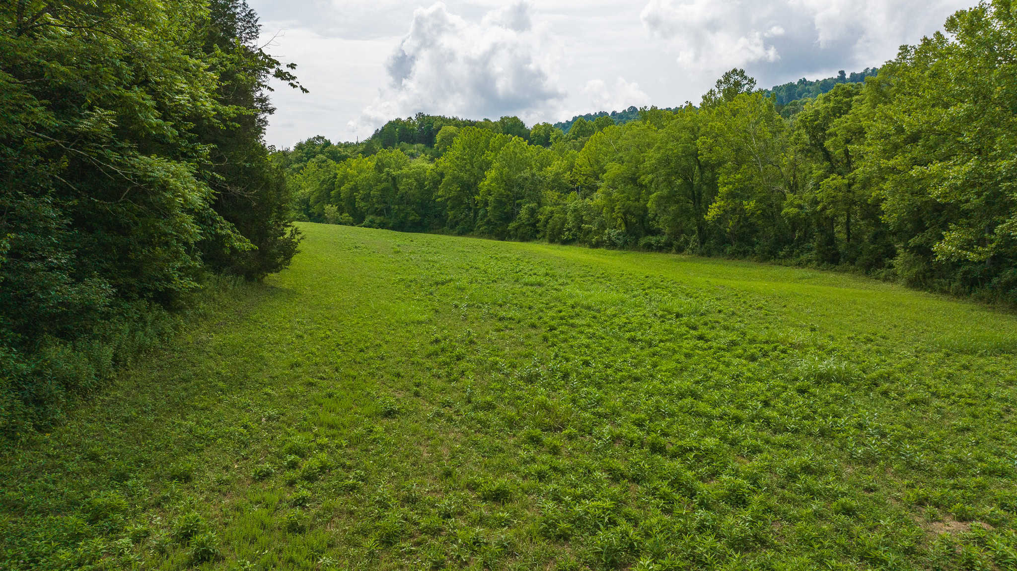 For Sale: Unrestricted Mountain Paradise in Eidson, Hawkins County, TN