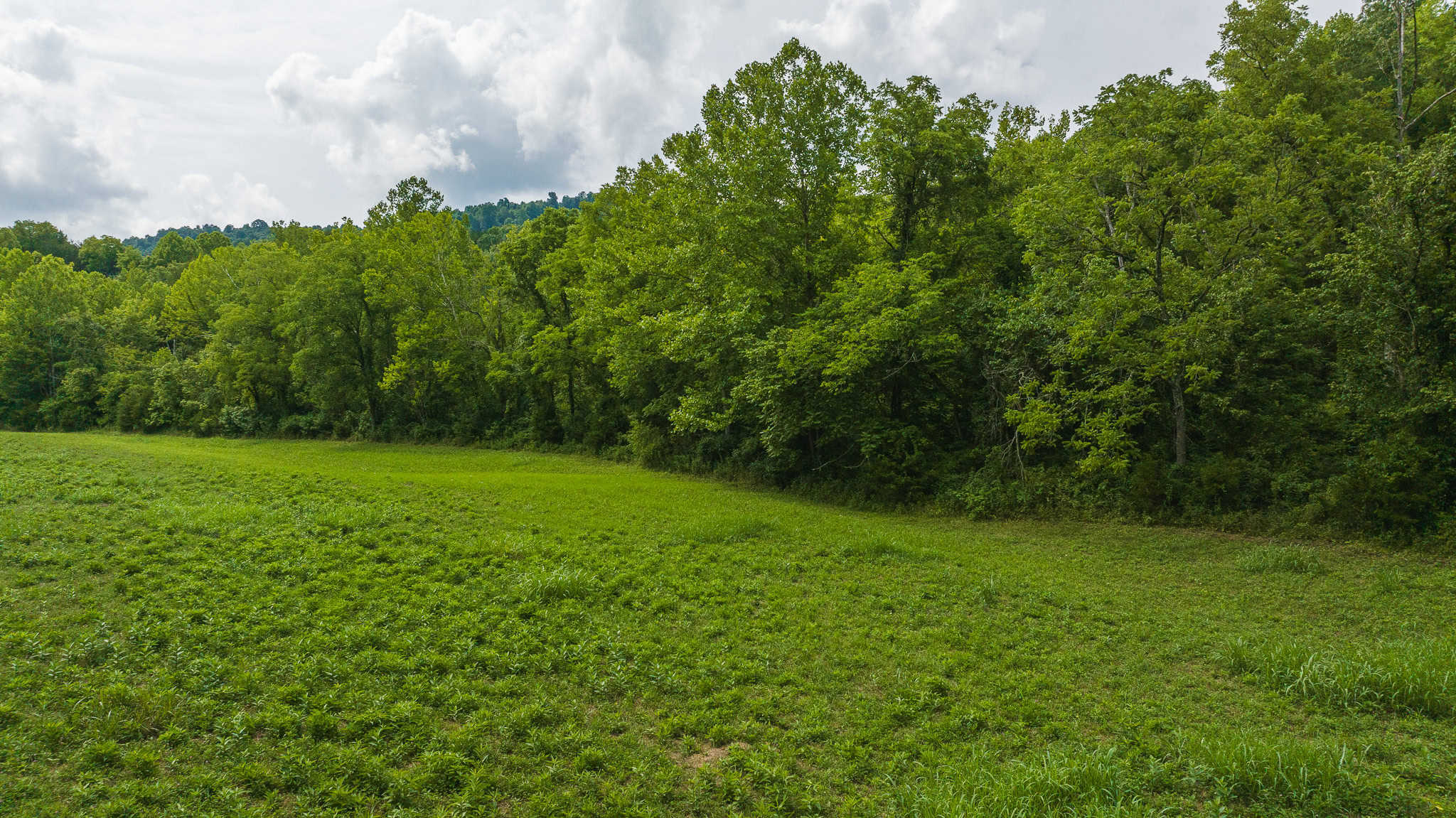 For Sale: Unrestricted Mountain Paradise in Eidson, Hawkins County, TN