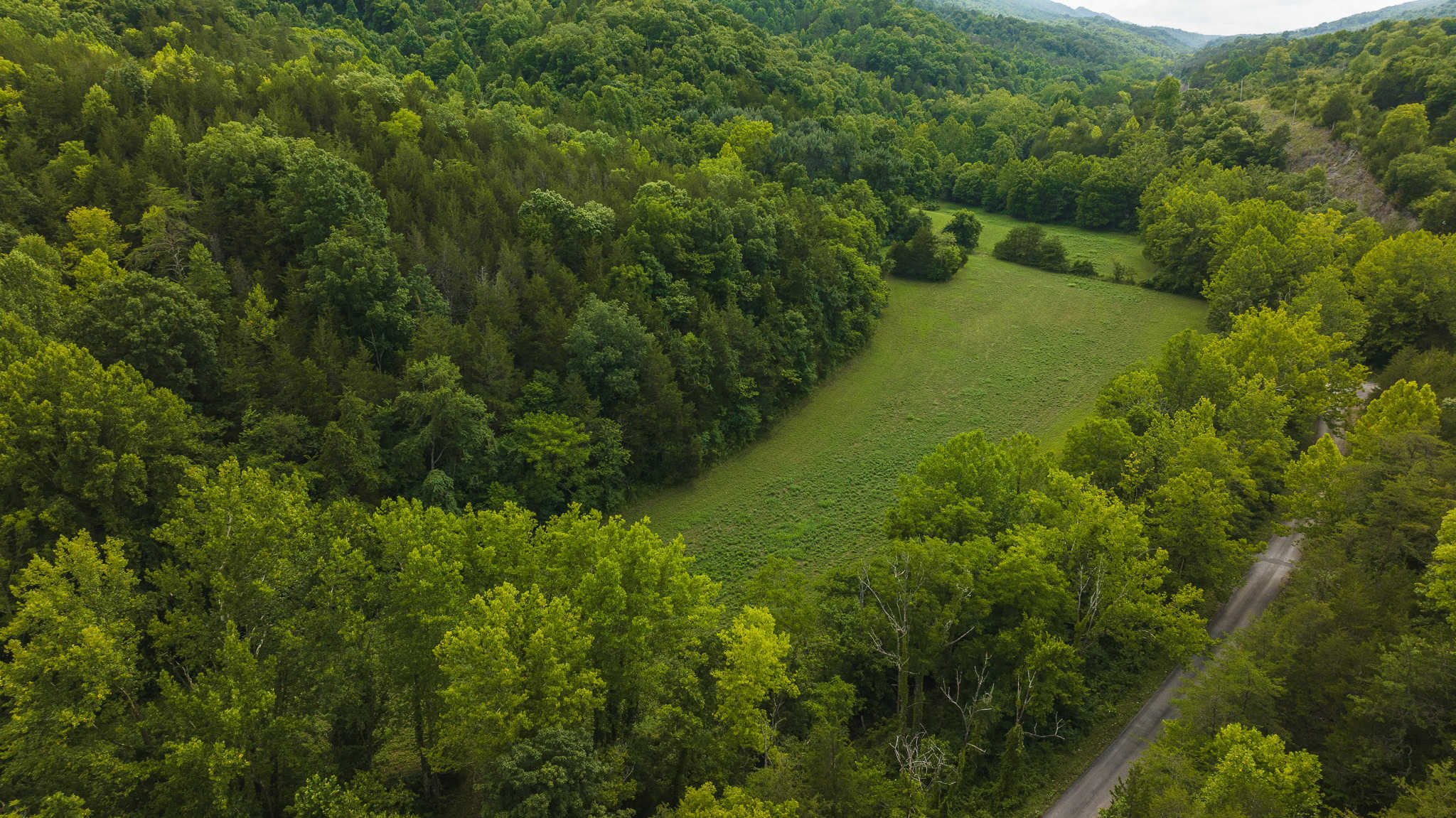 For Sale: Unrestricted Mountain Paradise in Eidson, Hawkins County, TN
