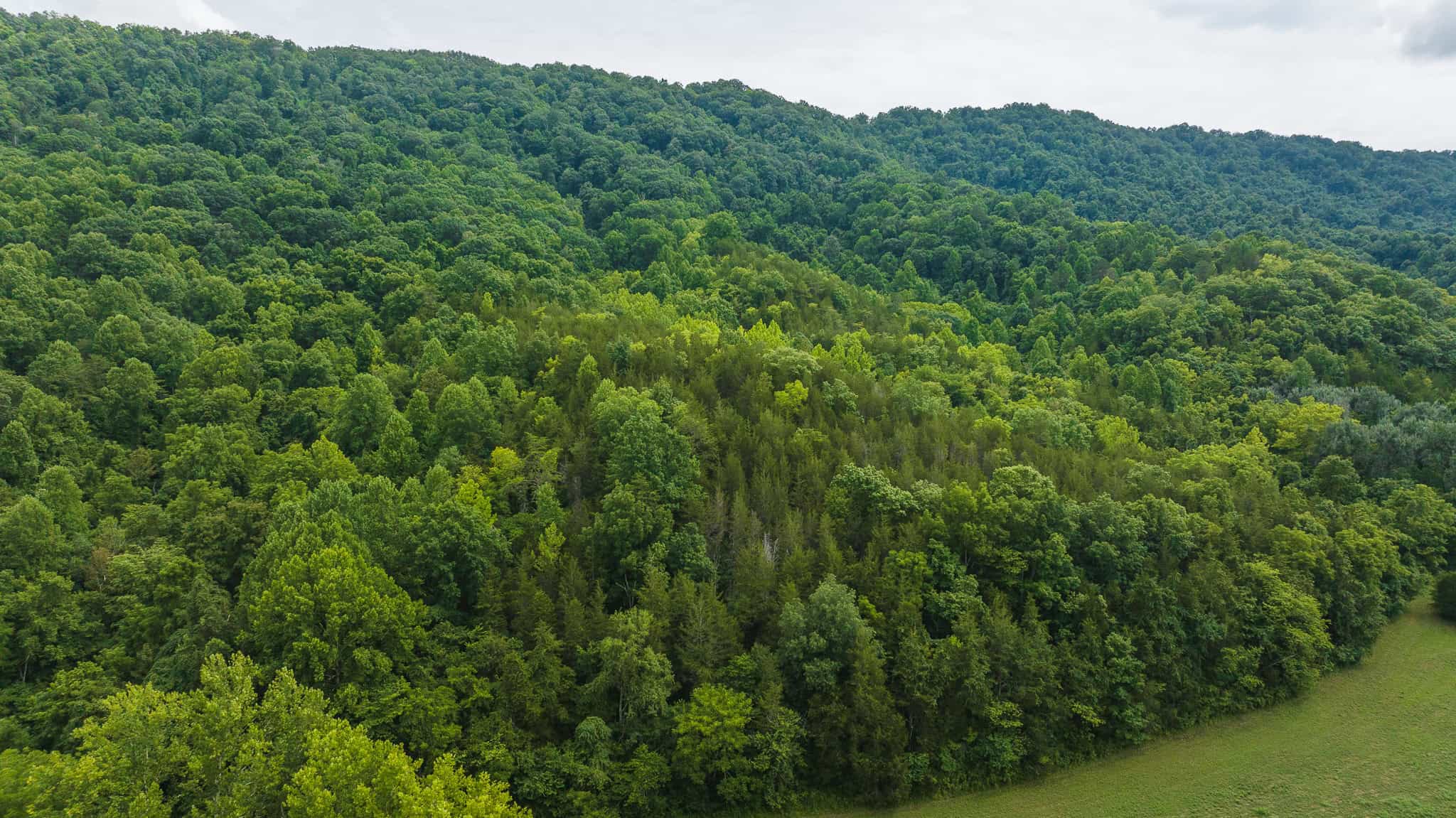 For Sale: Unrestricted Mountain Paradise in Eidson, Hawkins County, TN