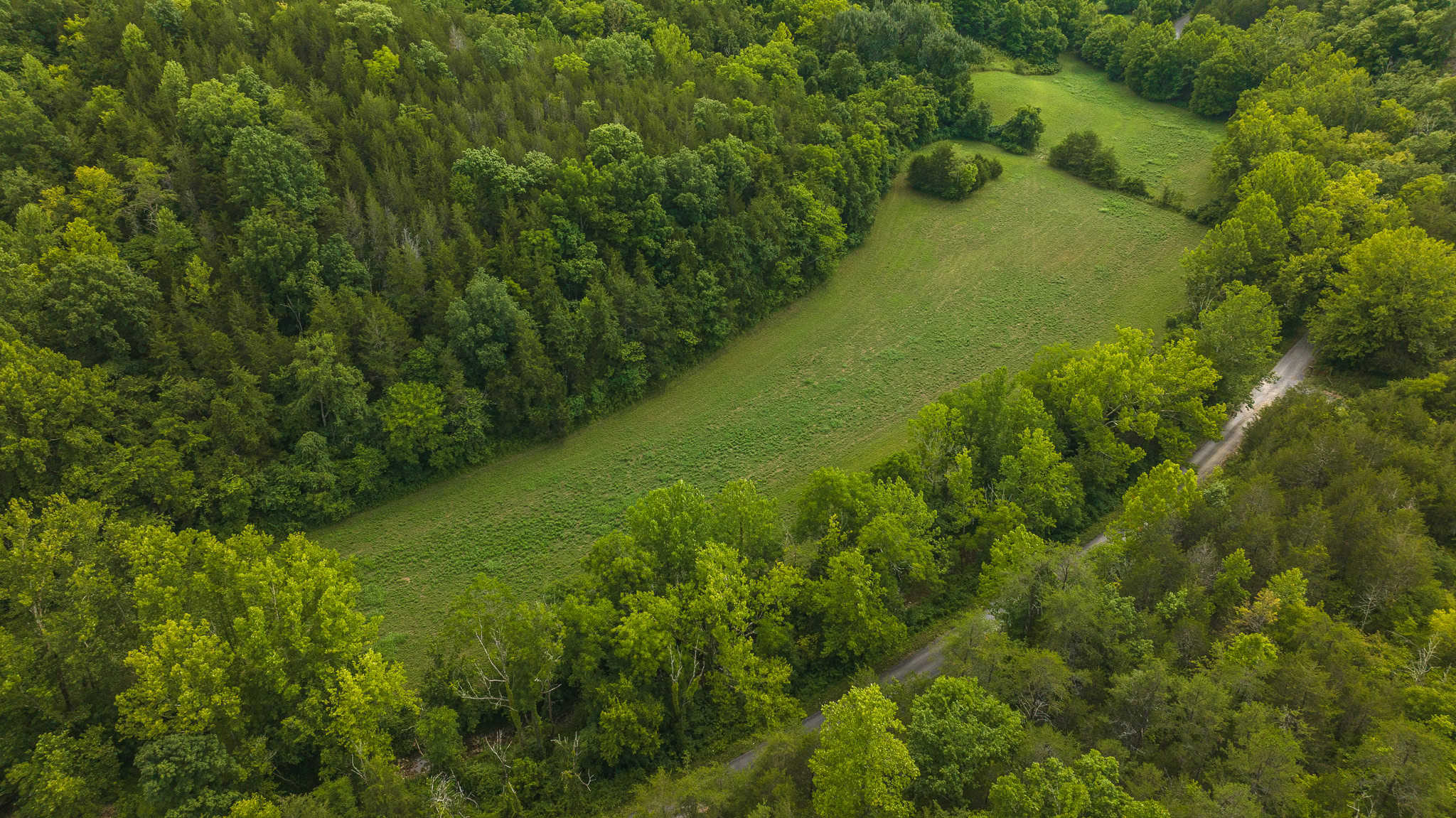For Sale: Unrestricted Mountain Paradise in Eidson, Hawkins County, TN