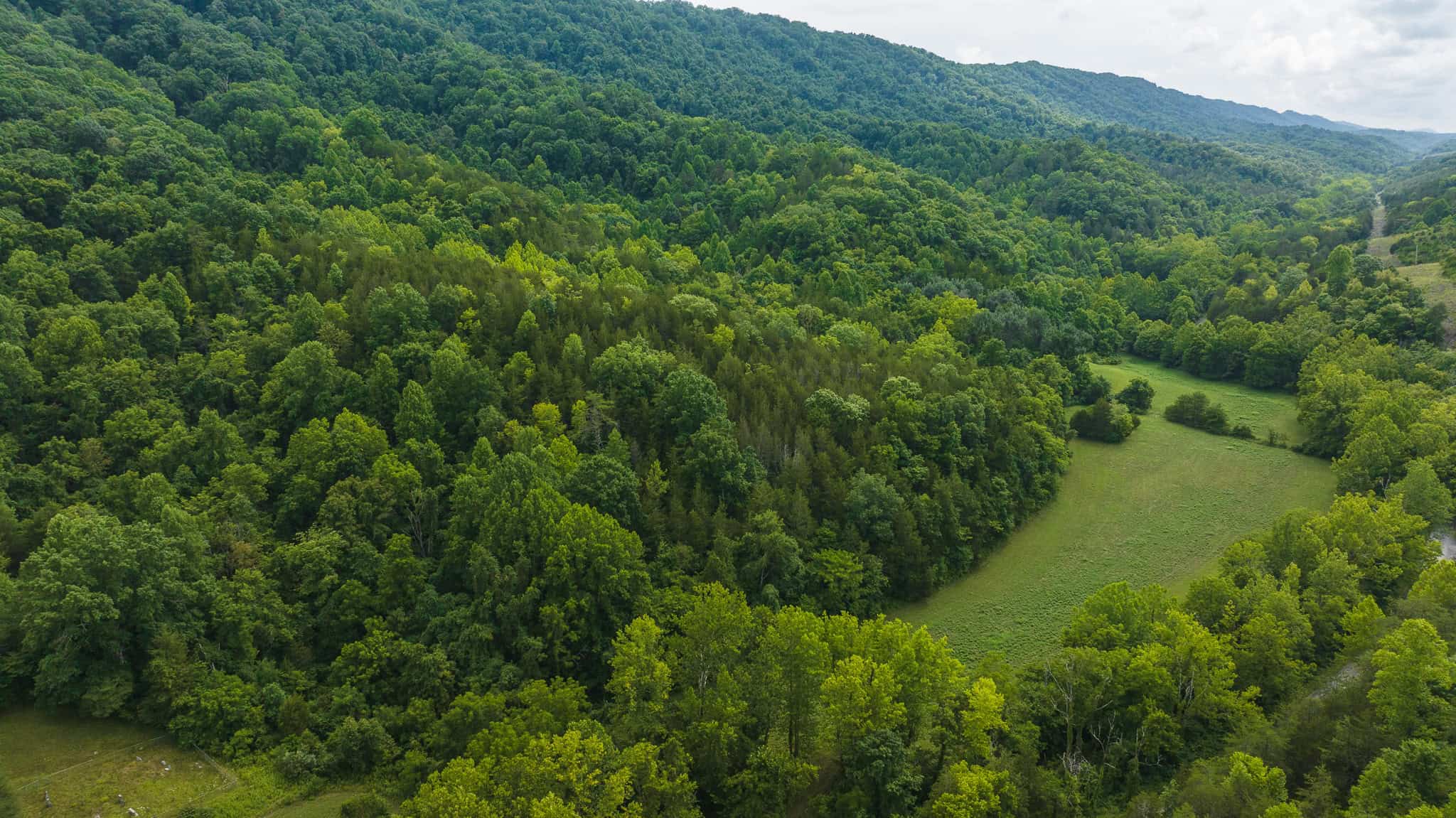 For Sale: Unrestricted Mountain Paradise in Eidson, Hawkins County, TN