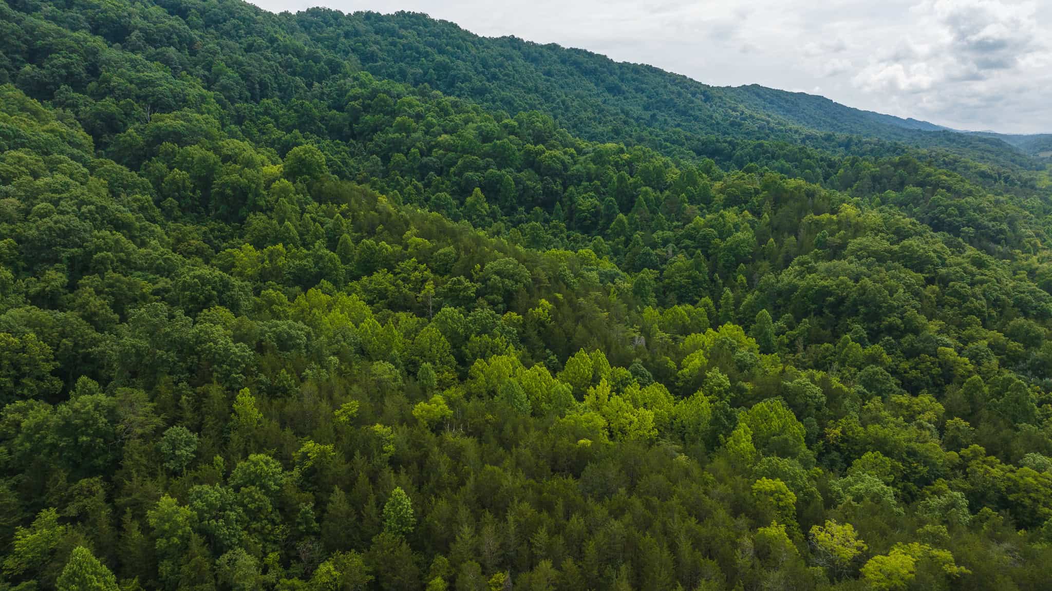 Mountain Paradise in Hawkins County, Tennessee
