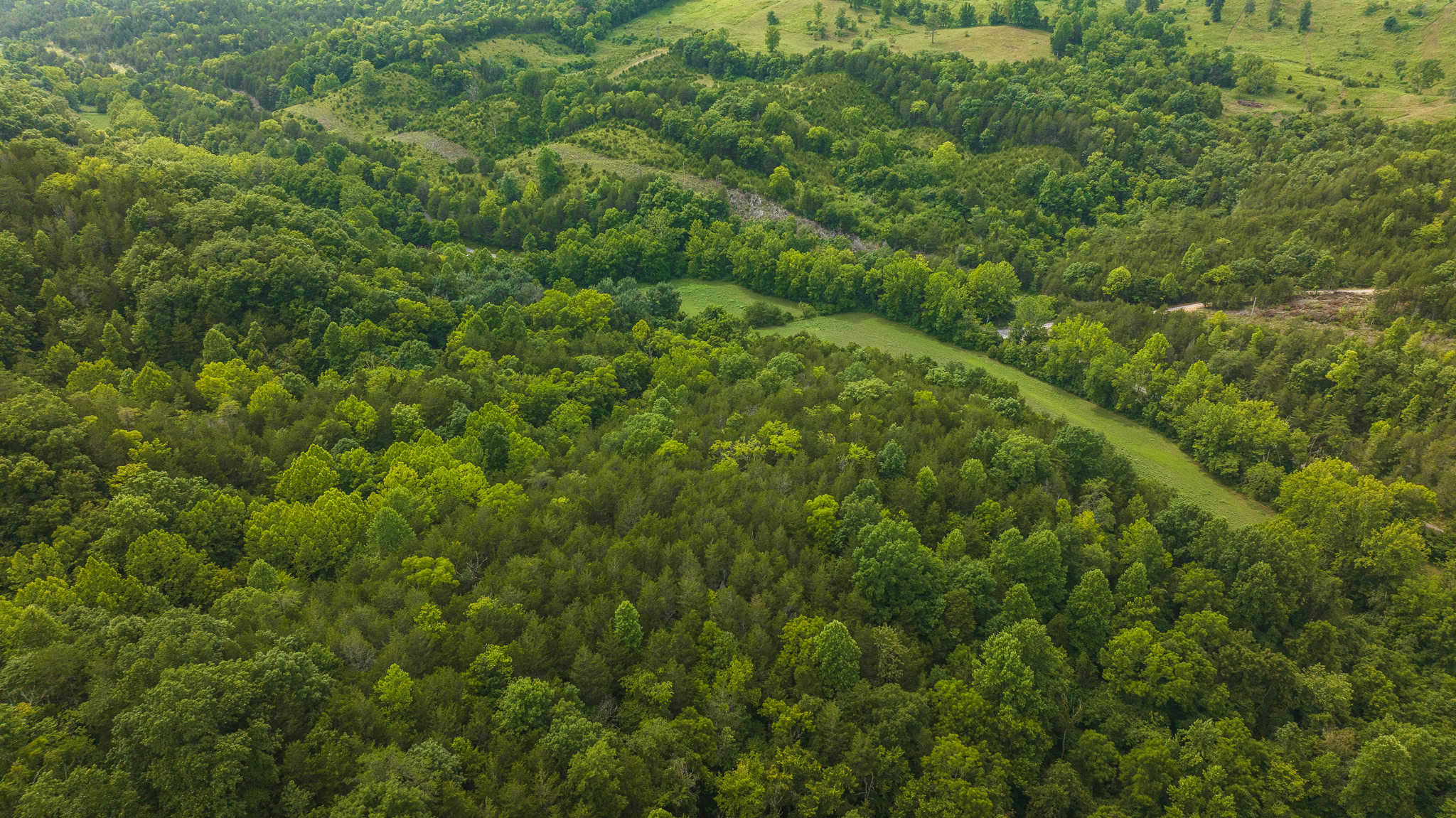 For Sale: Unrestricted Mountain Paradise in Eidson, Hawkins County, TN