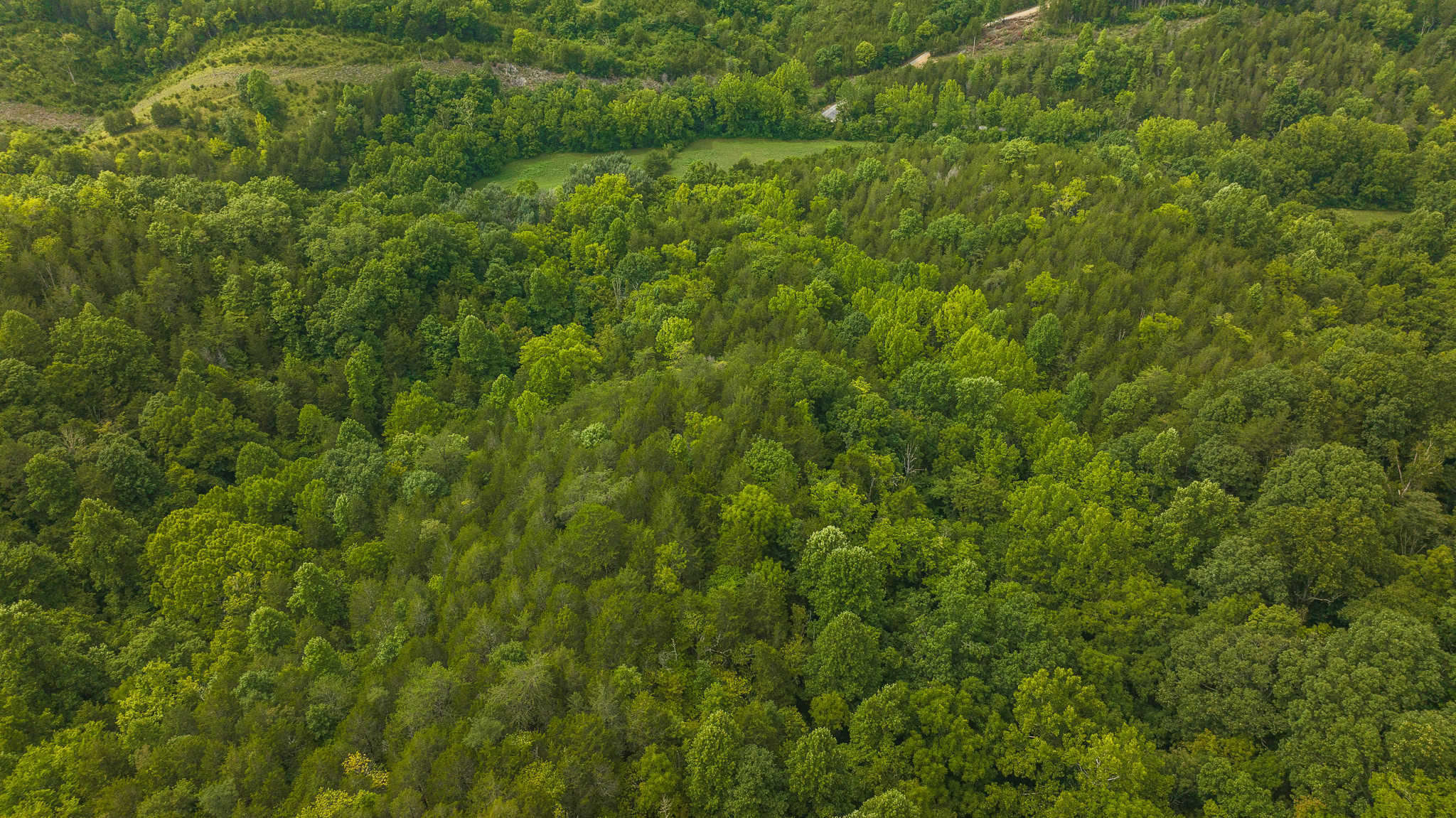 For Sale: Unrestricted Mountain Paradise in Eidson, Hawkins County, TN