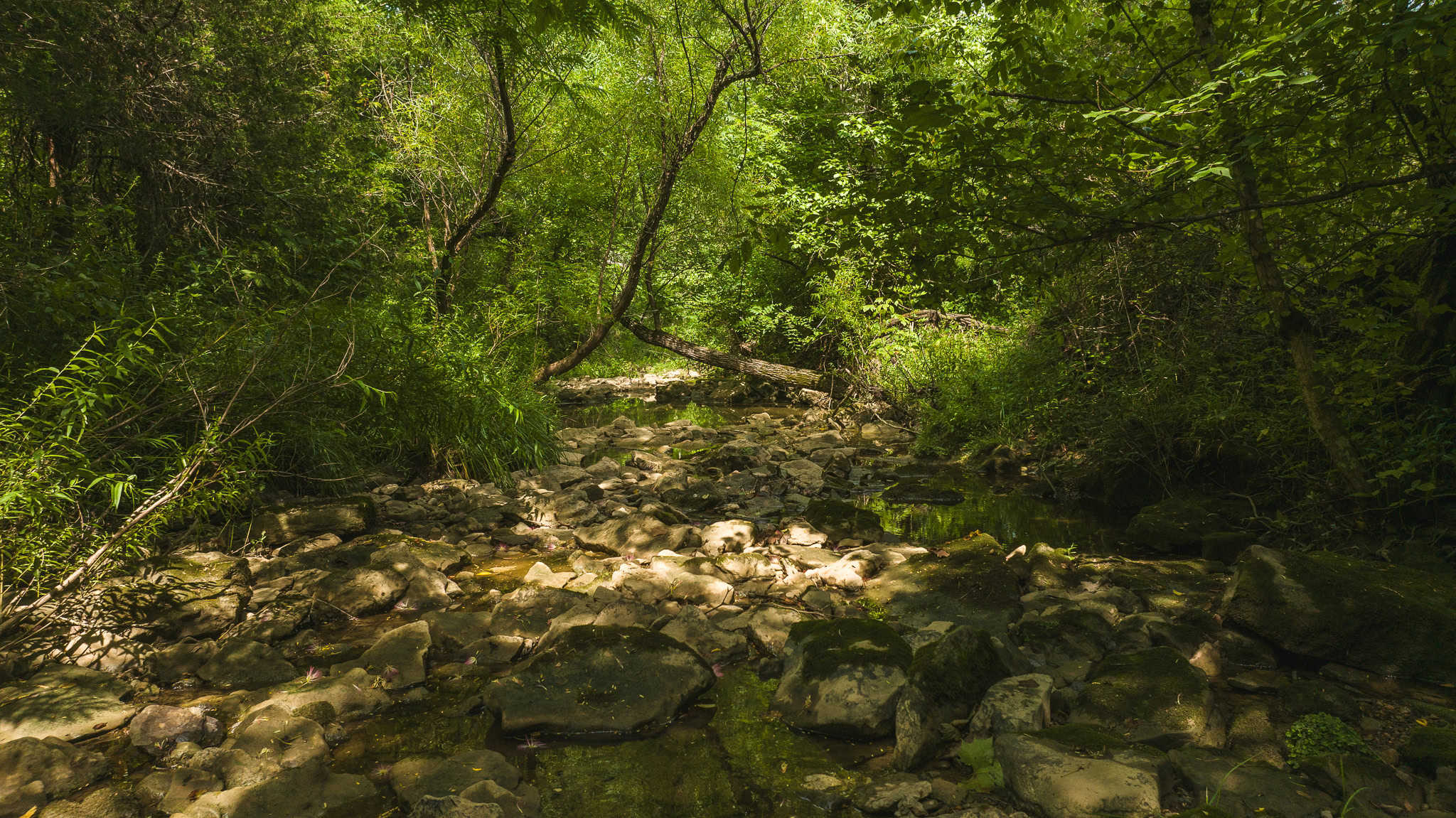 For Sale: Unrestricted Mountain Paradise in Eidson, Hawkins County, TN