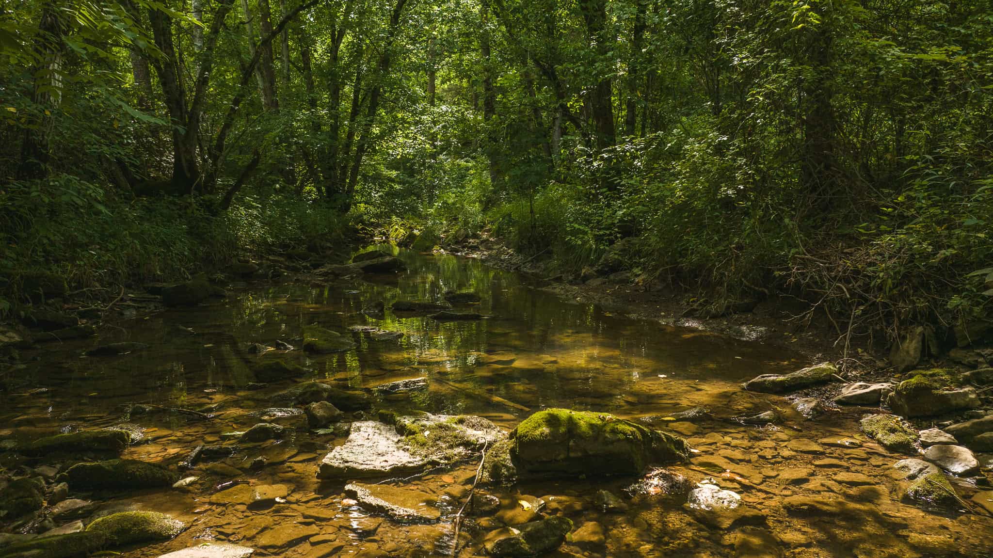 For Sale: Unrestricted Mountain Paradise in Eidson, Hawkins County, TN