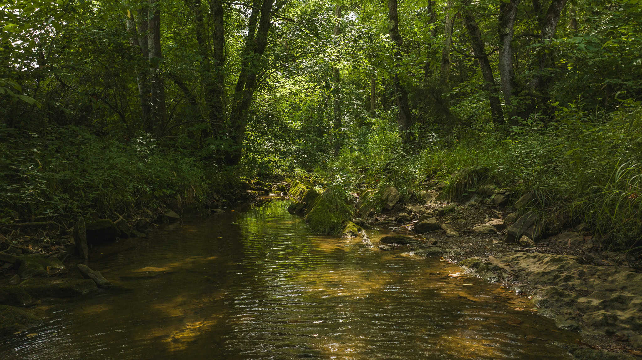 For Sale: Unrestricted Mountain Paradise in Eidson, Hawkins County, TN