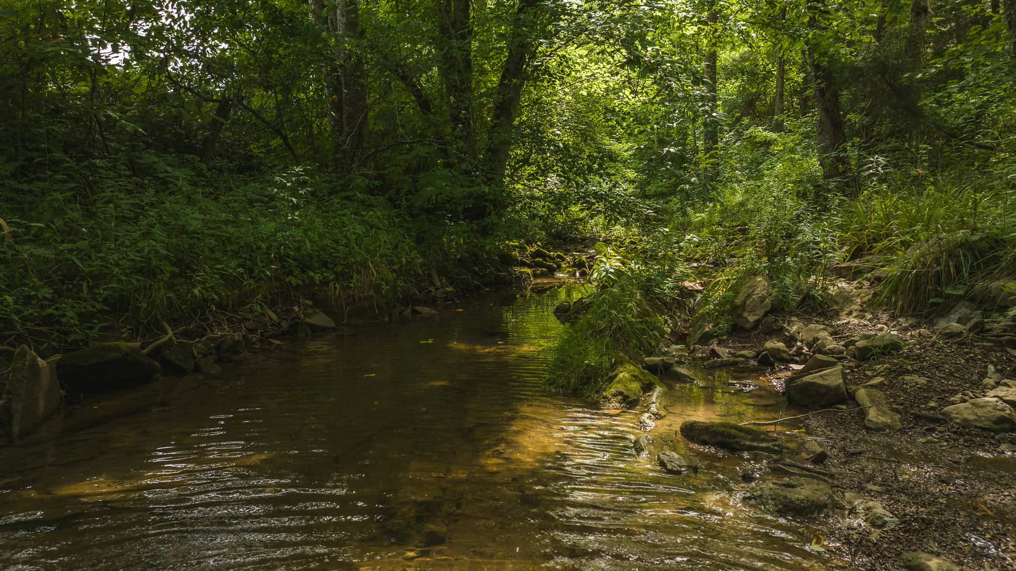 For Sale: Unrestricted Mountain Paradise in Eidson, Hawkins County, TN