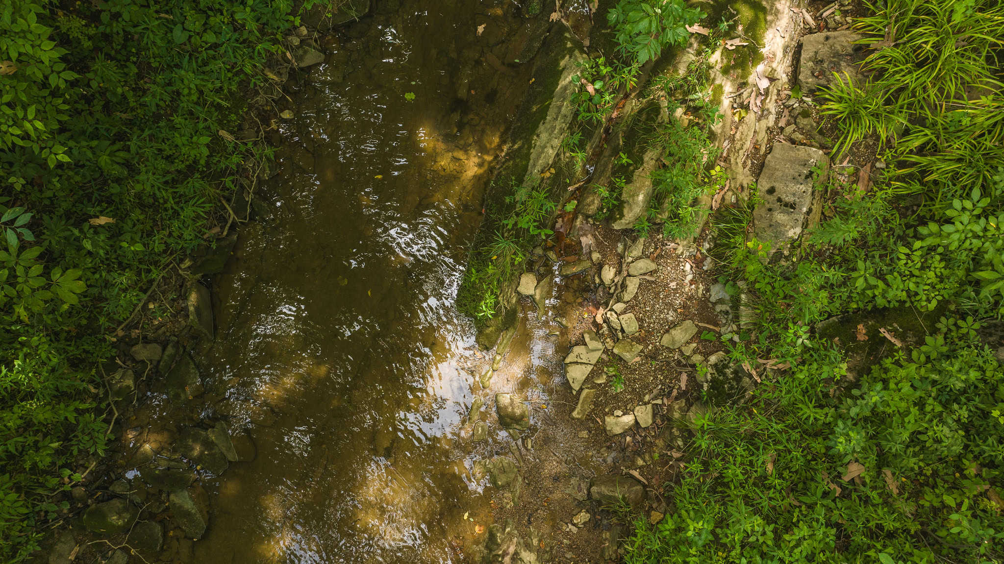 For Sale: Unrestricted Mountain Paradise in Eidson, Hawkins County, TN