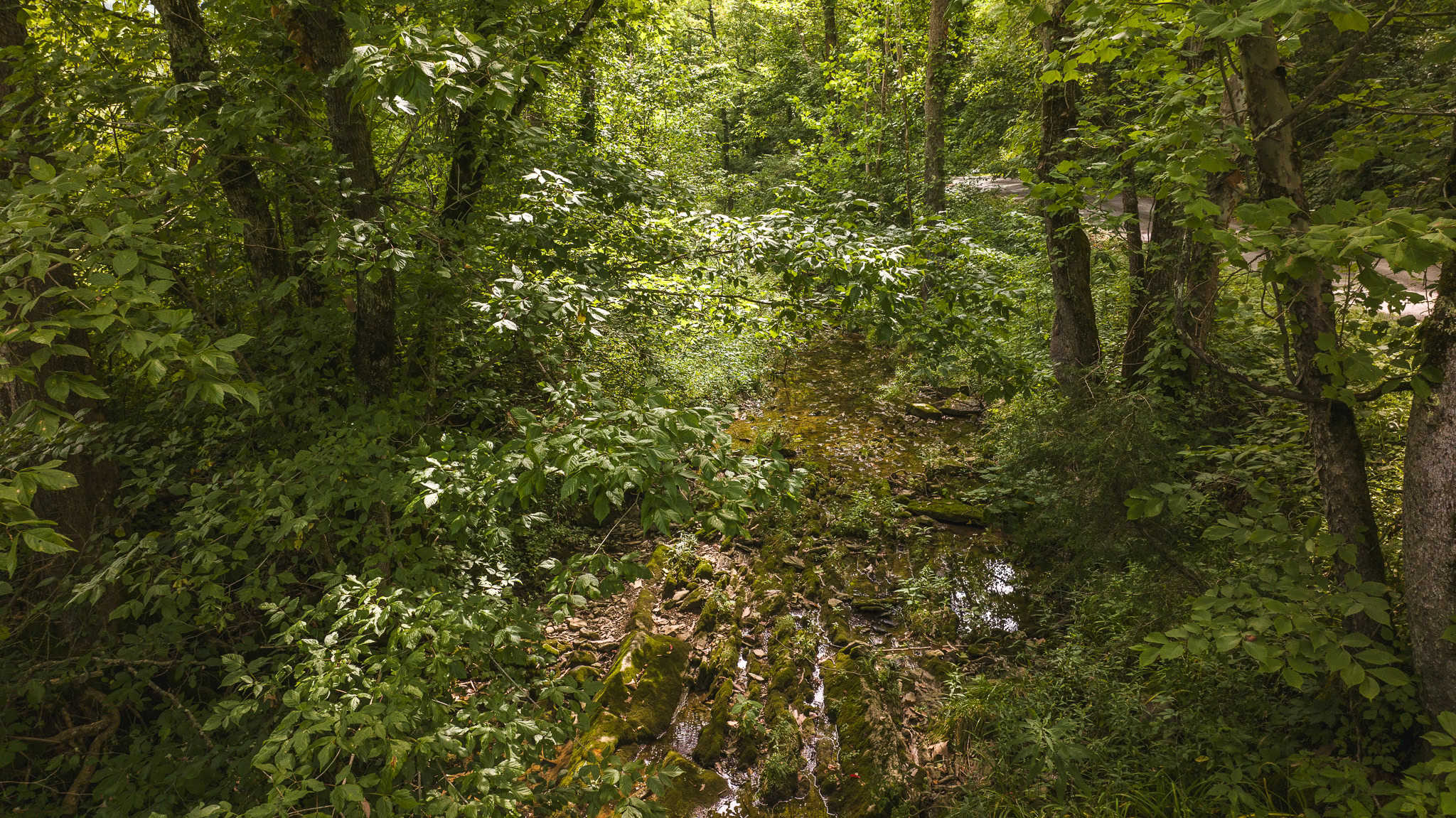 For Sale: Unrestricted Mountain Paradise in Eidson, Hawkins County, TN