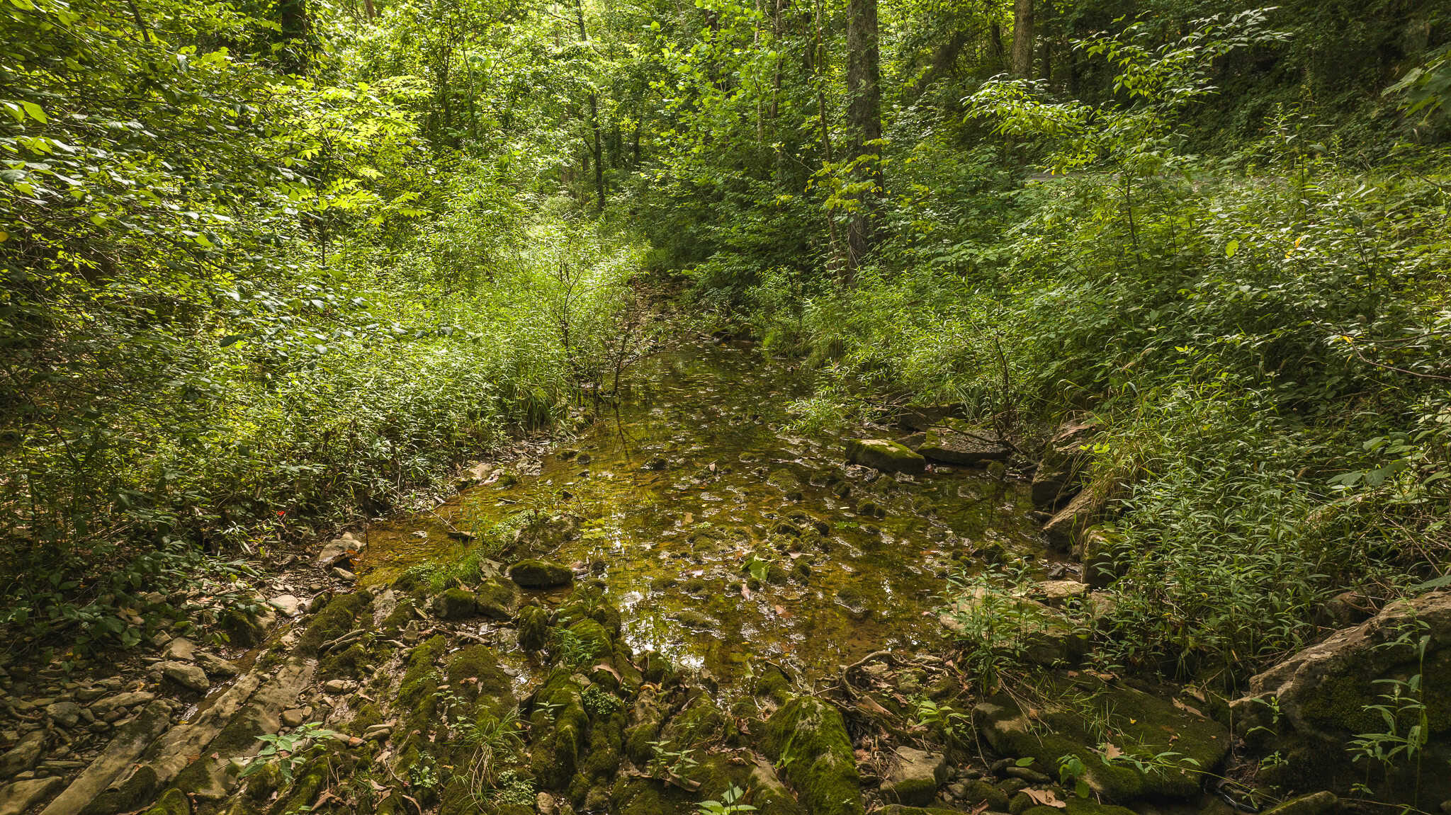 For Sale: Unrestricted Mountain Paradise in Eidson, Hawkins County, TN