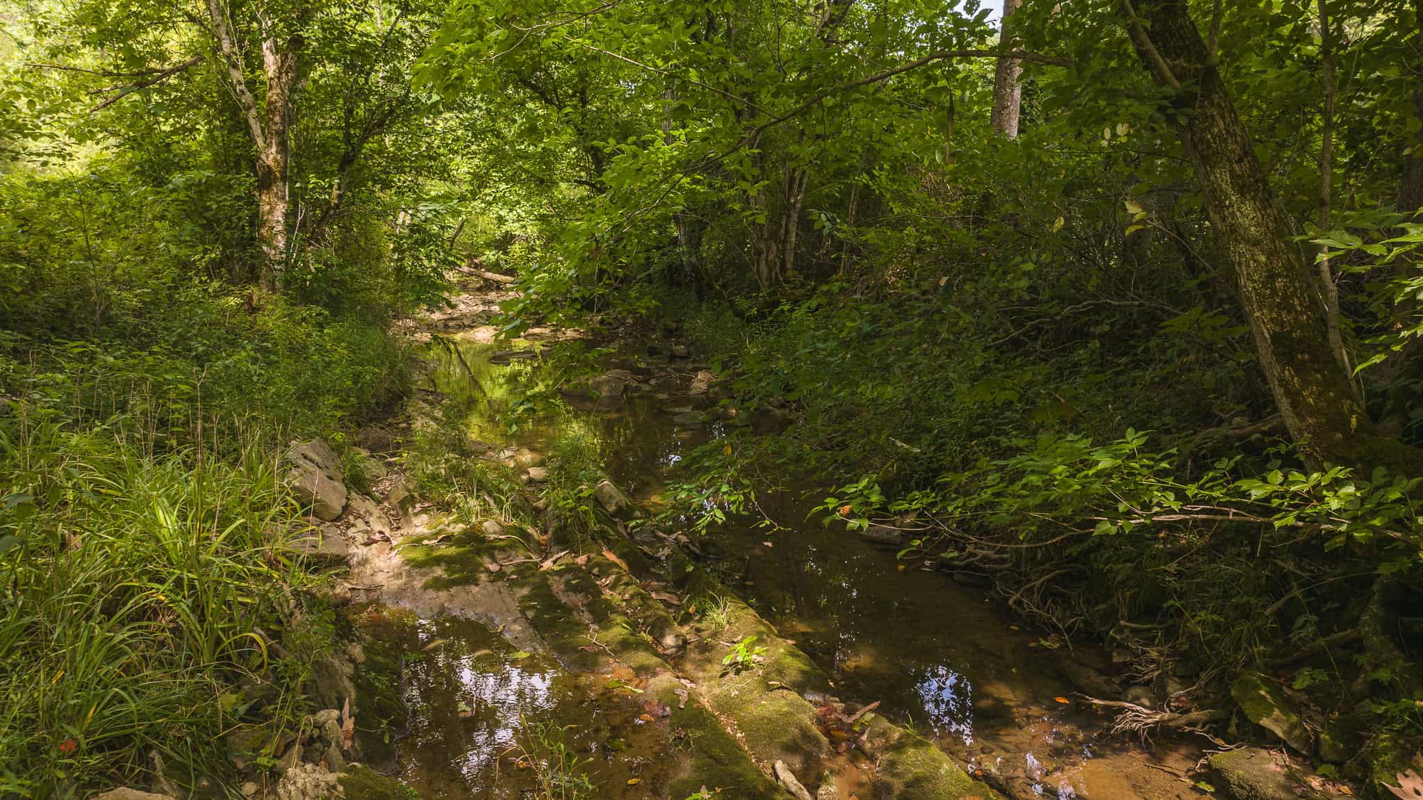 Mountain Paradise in Hawkins County, Tennessee