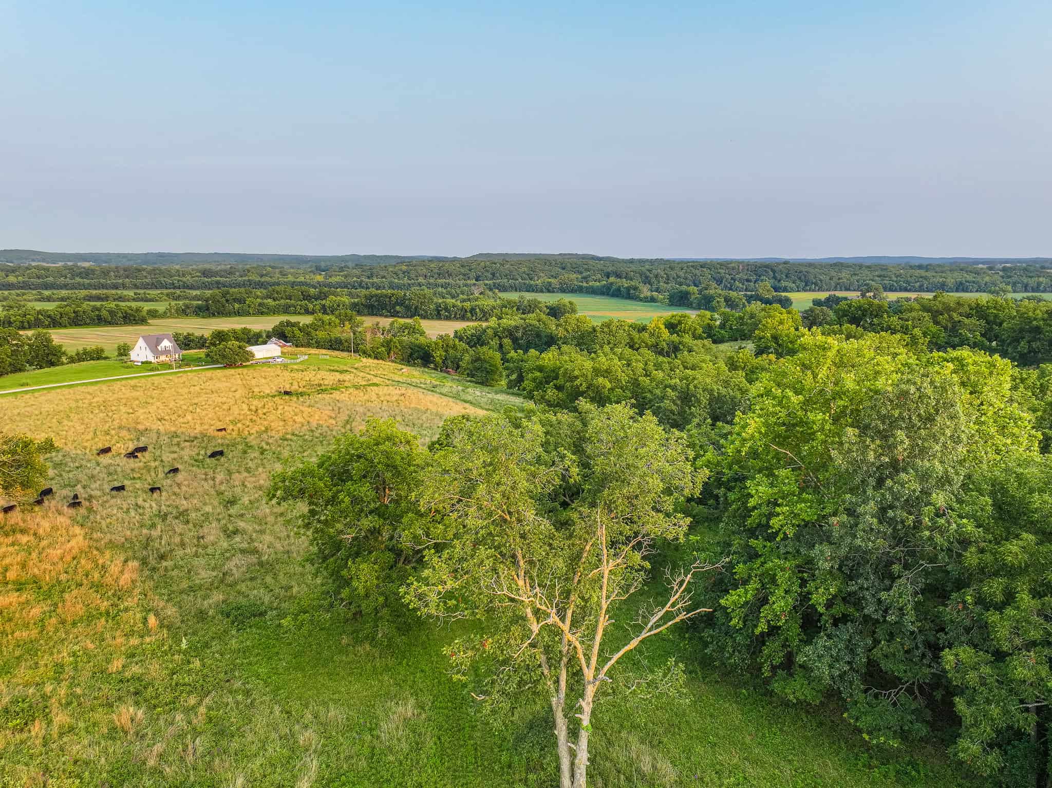 Land for Sale Osceola MO