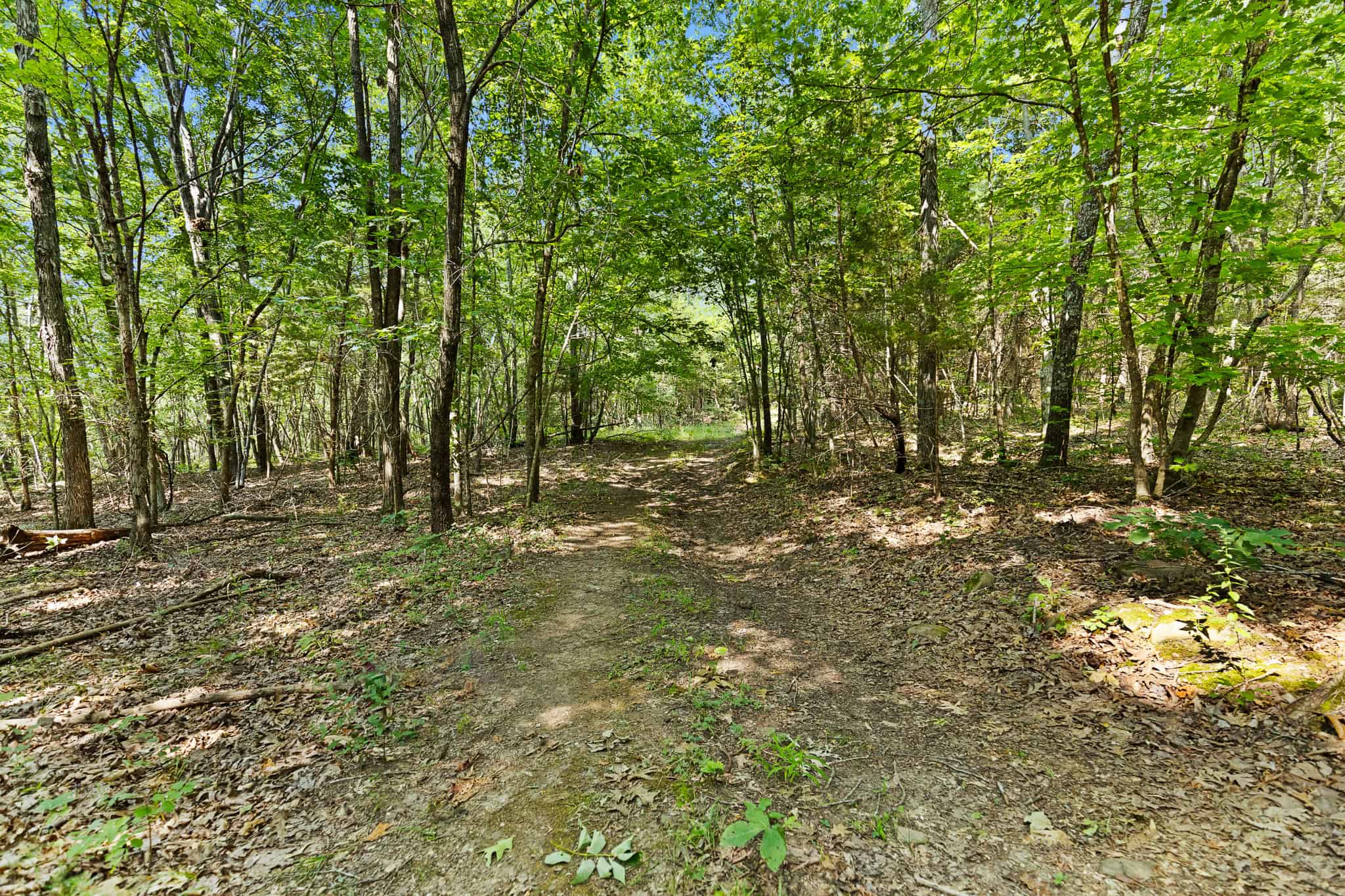 Crooked Creek on 320 Ac Hunting Land For Sale in Newton County, Arkansas