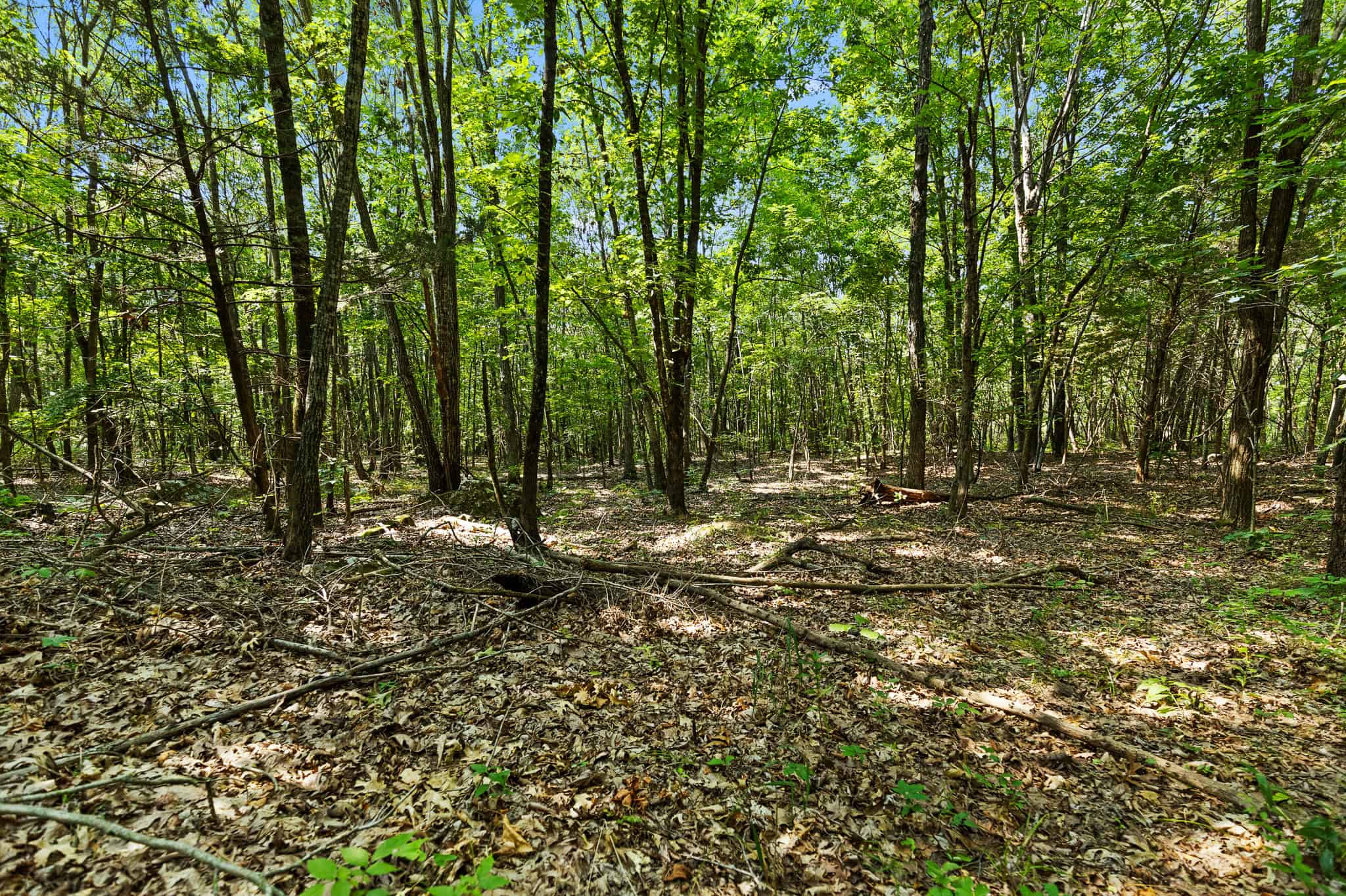Crooked Creek on 320 Ac Hunting Land For Sale in Newton County, Arkansas