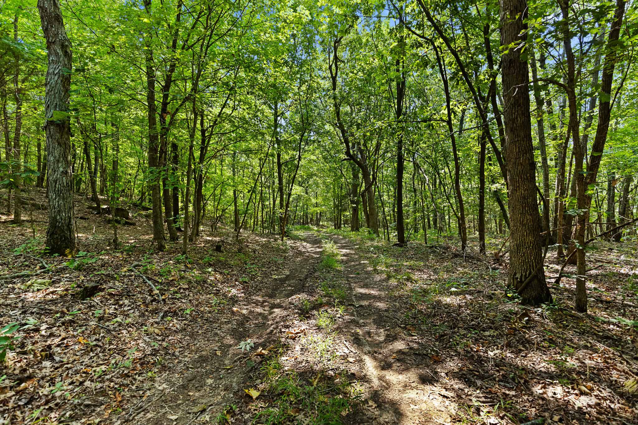 Crooked Creek on 320 Ac Hunting Land For Sale in Newton County, Arkansas