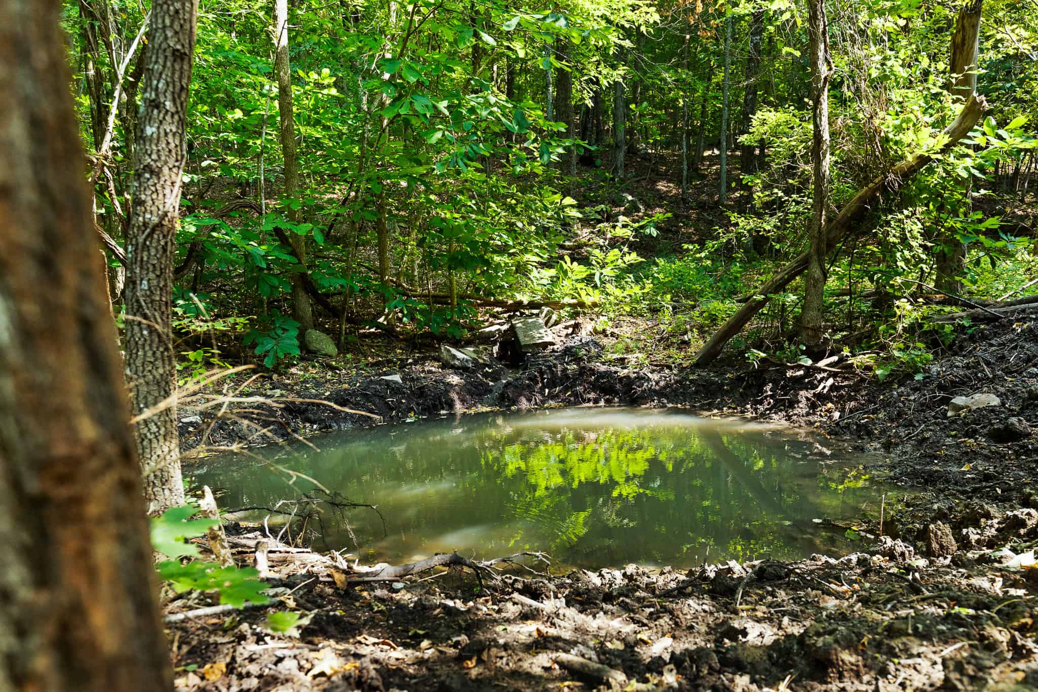 Crooked Creek on 320 Ac Hunting Land For Sale in Newton County, Arkansas