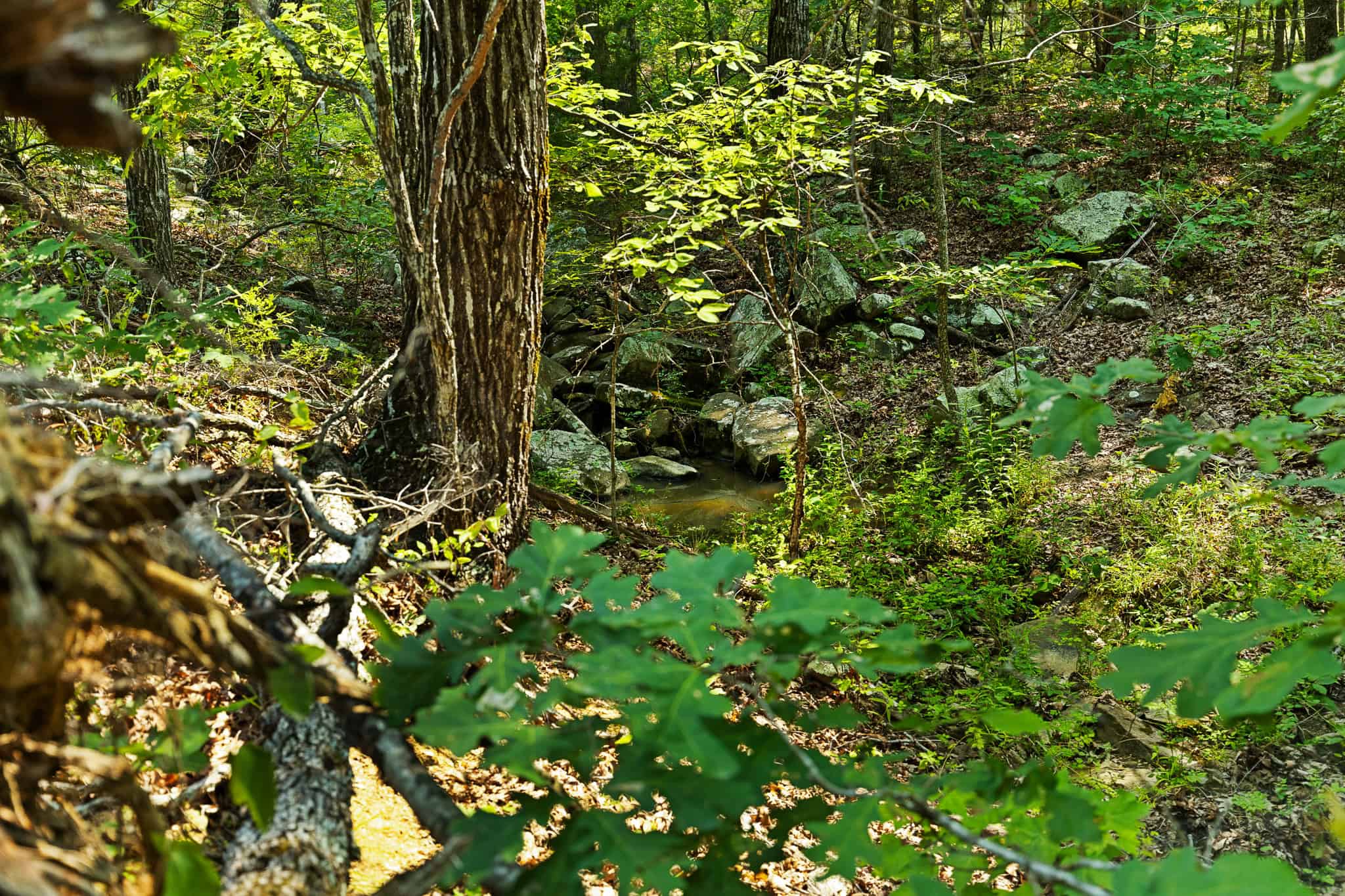 Crooked Creek on 320 Ac Hunting Land For Sale in Newton County, Arkansas