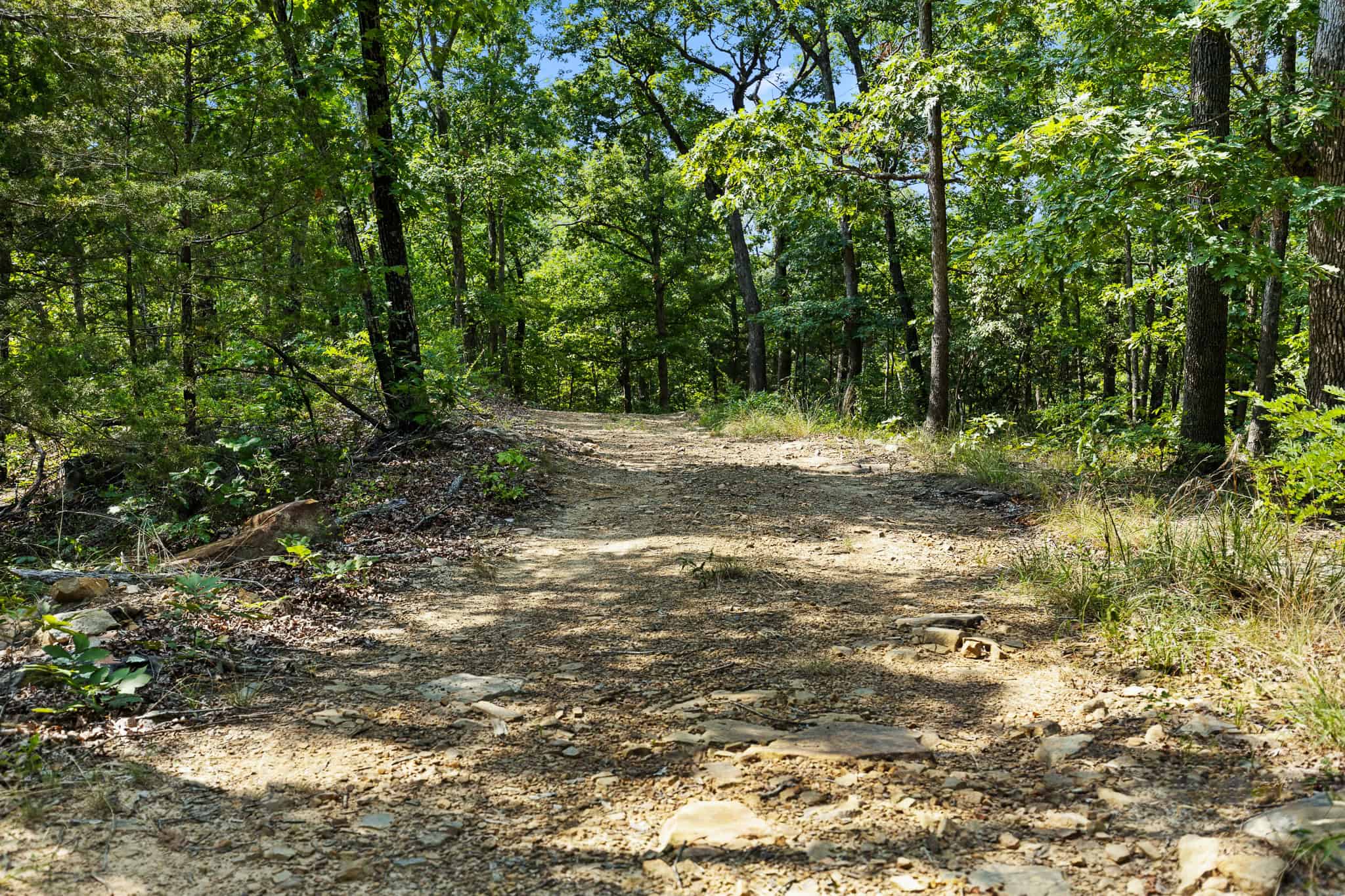 Crooked Creek on 320 Ac Hunting Land For Sale in Newton County, Arkansas
