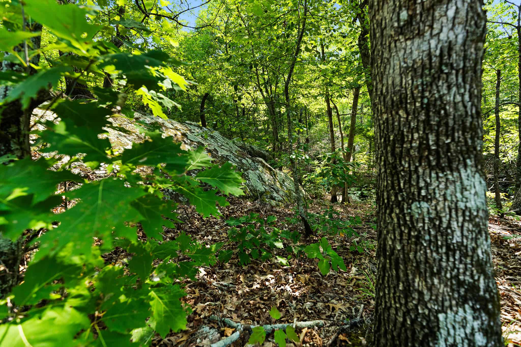 Crooked Creek on 320 Ac Hunting Land For Sale in Newton County, Arkansas