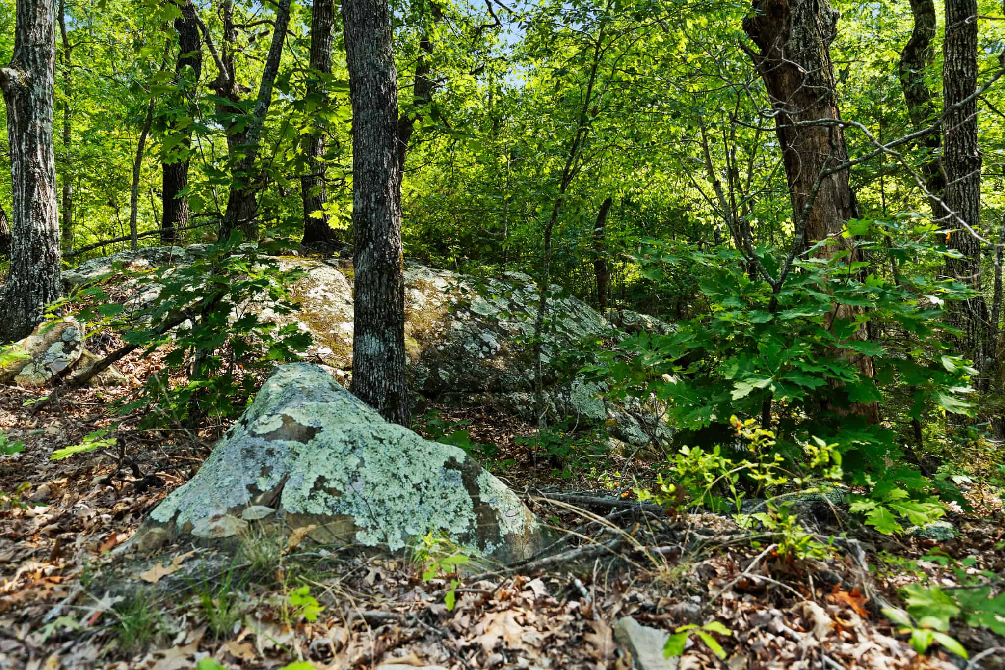 Crooked Creek on 320 Ac Hunting Land For Sale in Newton County, Arkansas