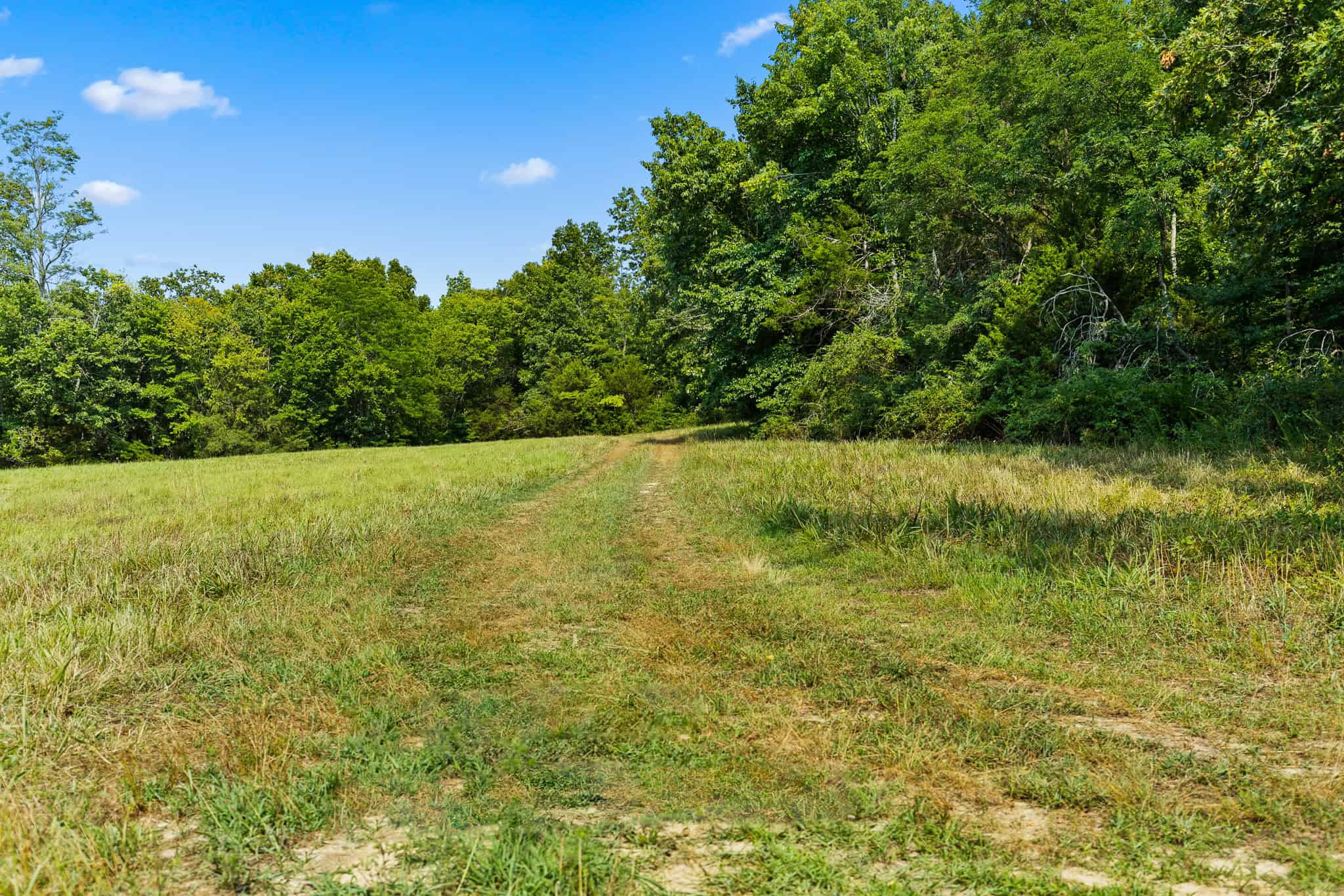 Crooked Creek on 320 Ac Hunting Land For Sale in Newton County, Arkansas