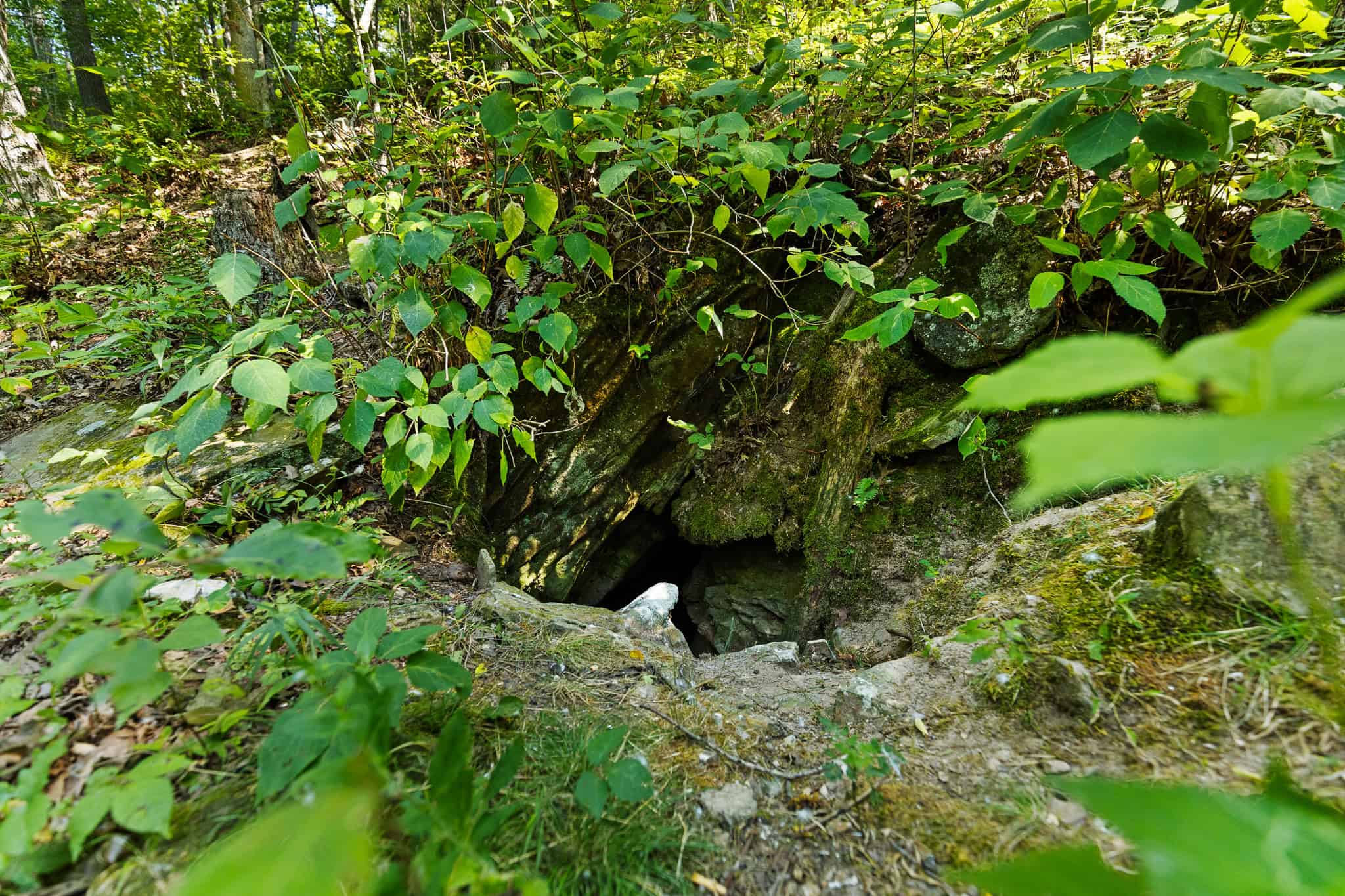 Crooked Creek on 320 Ac Hunting Land For Sale in Newton County, Arkansas