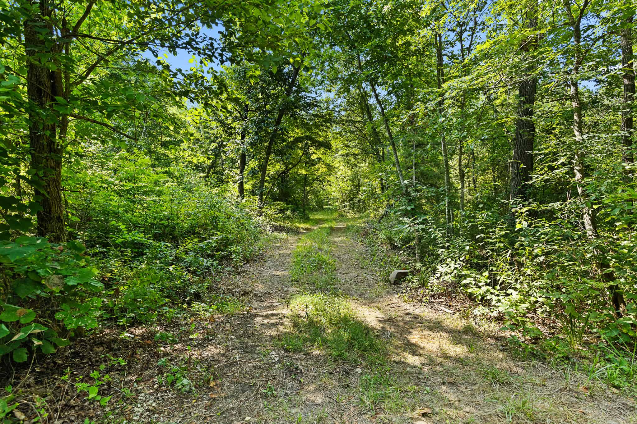 Crooked Creek on 320 Ac Hunting Land For Sale in Newton County, Arkansas