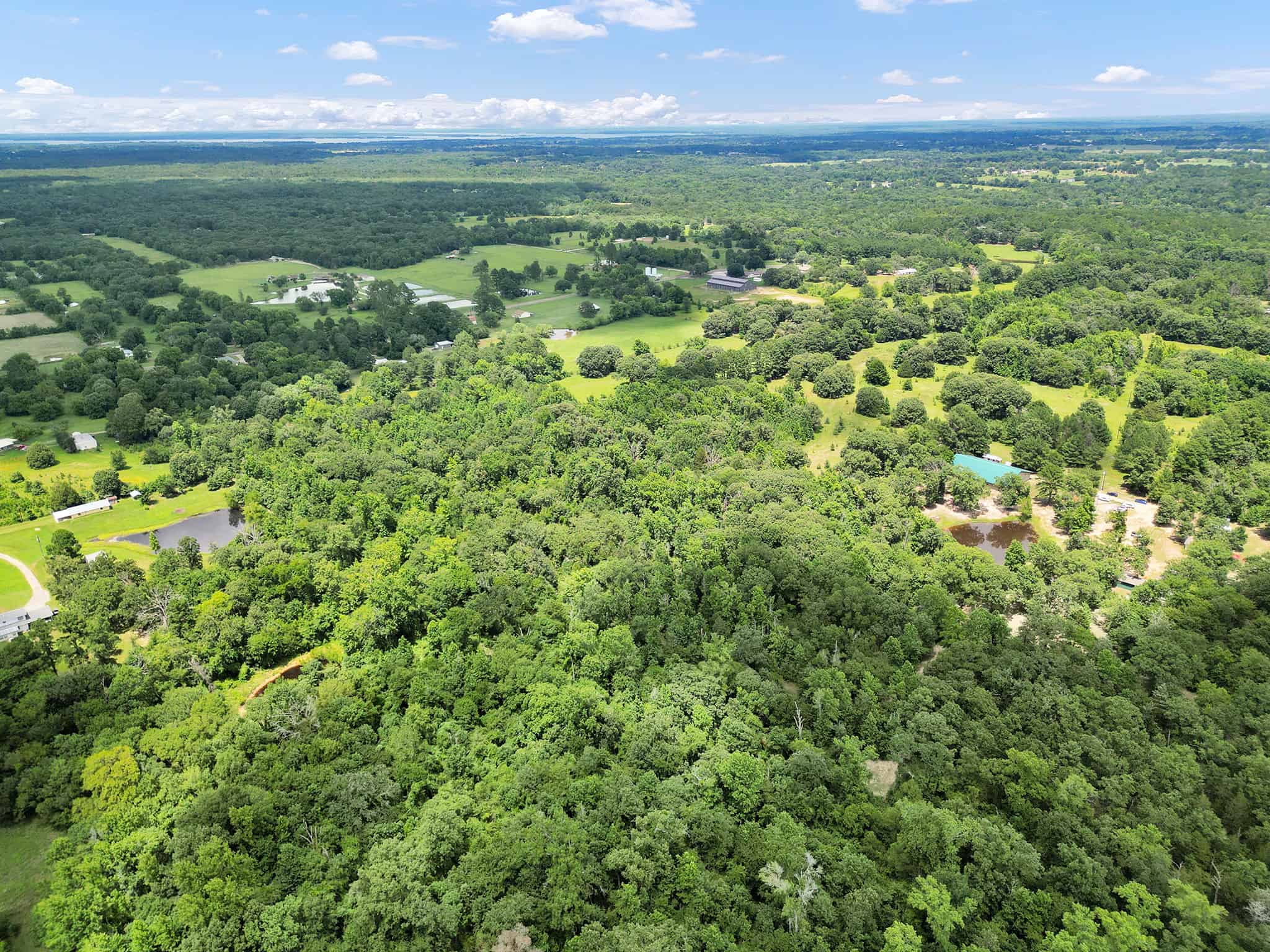 SOLD! Texas Hunting Property East of Dallas Near Lake Fork