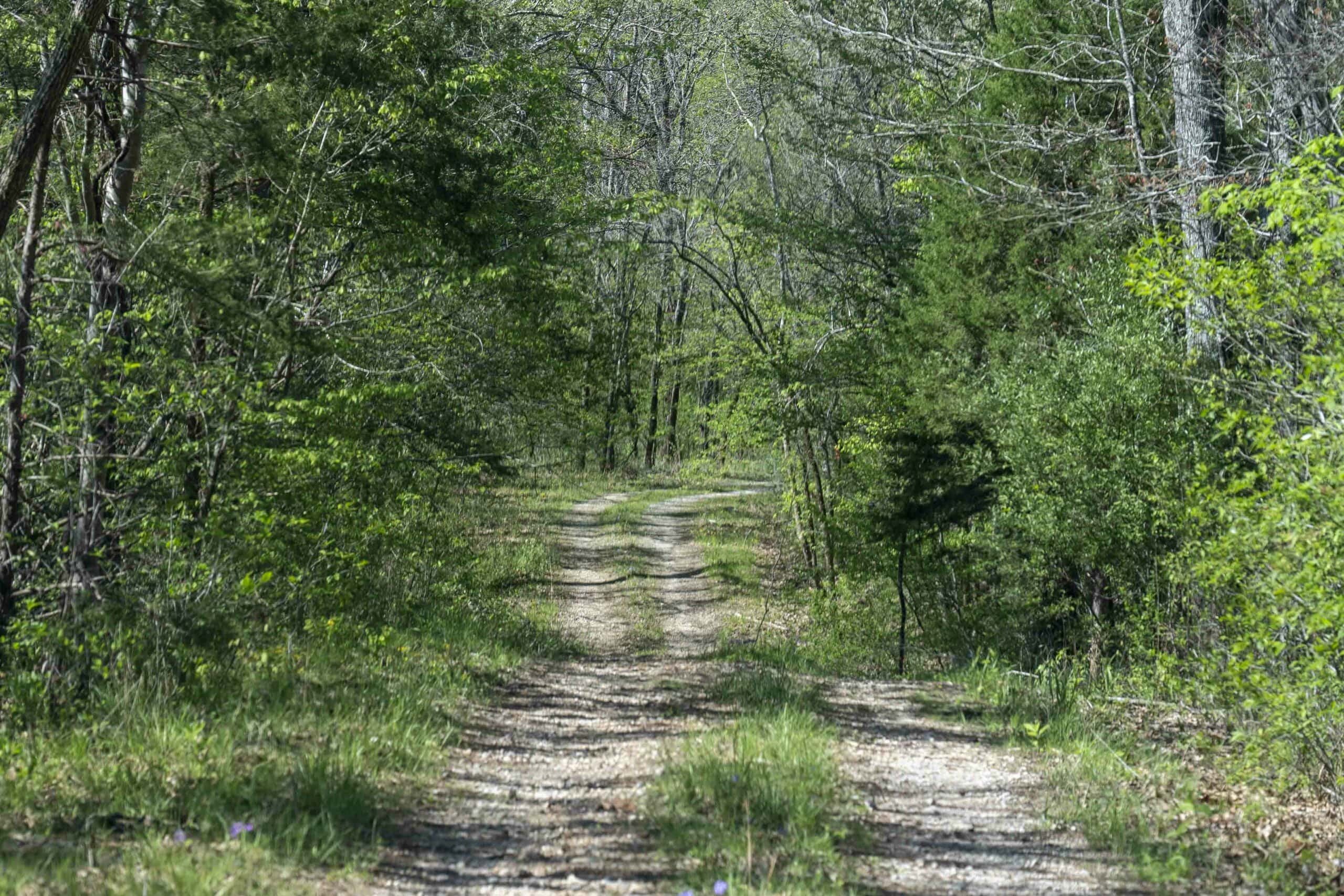 Recreational Land for Sale in Maries County, MO