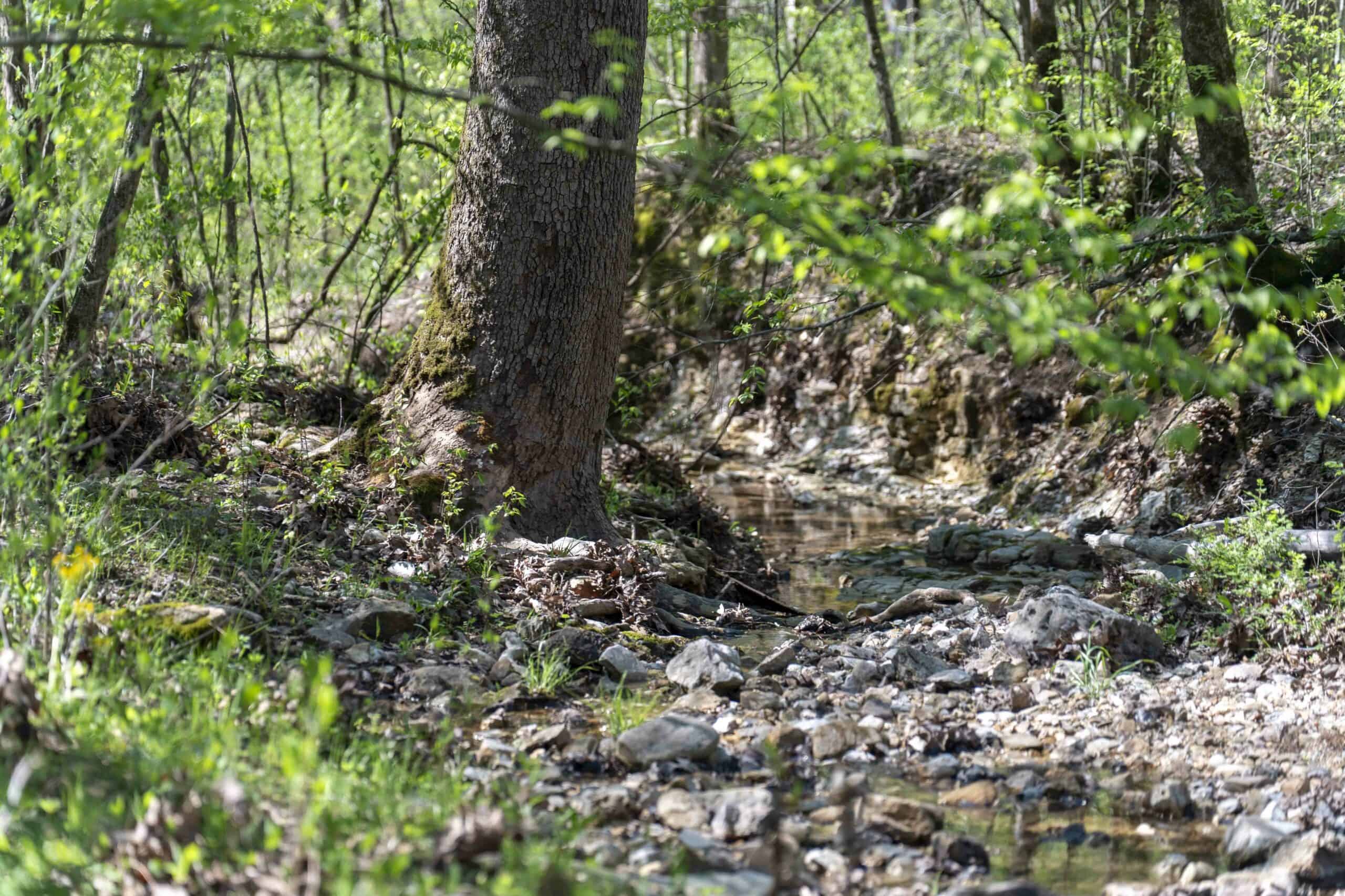 Recreational Land for Sale in Maries County, MO