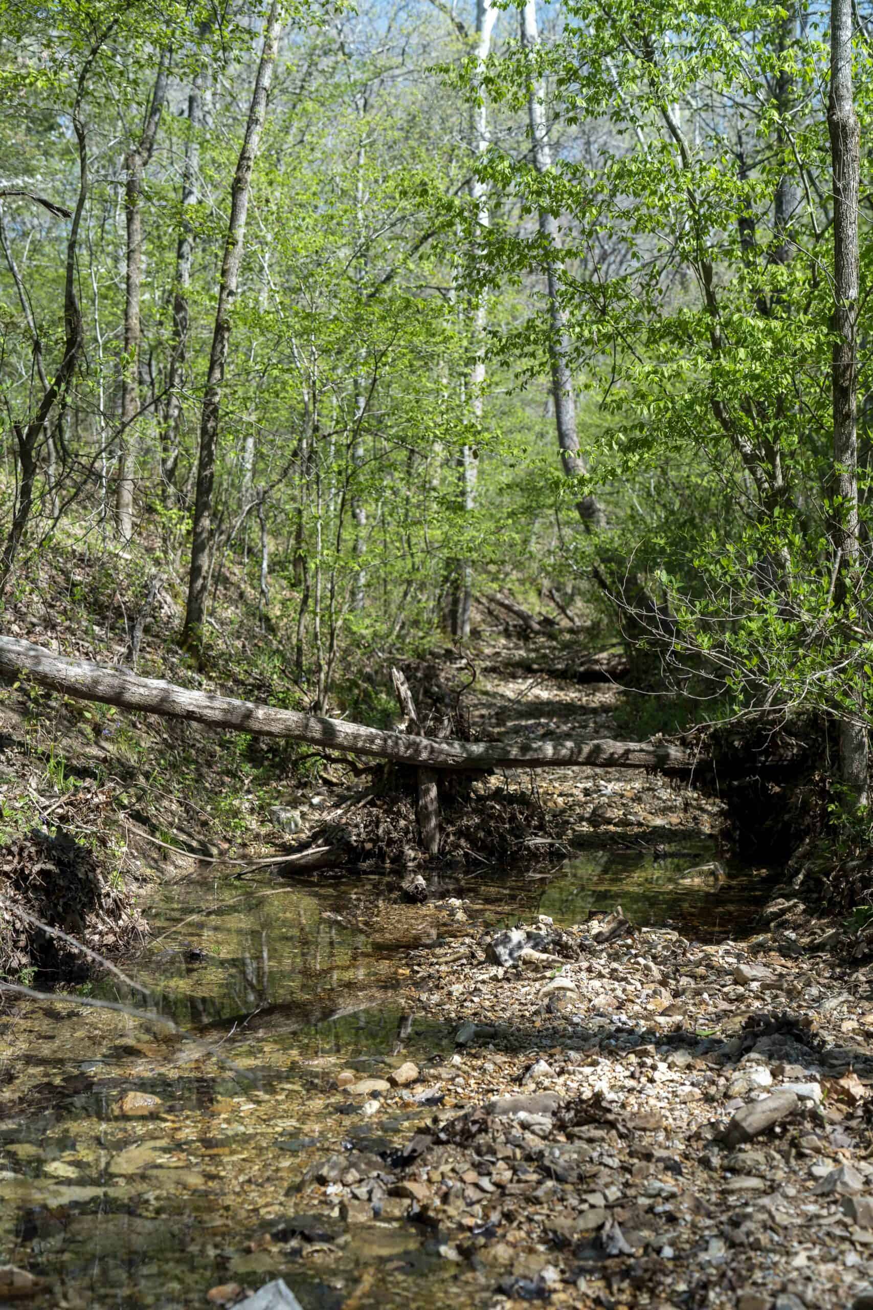 Recreational Land for Sale in Maries County, MO