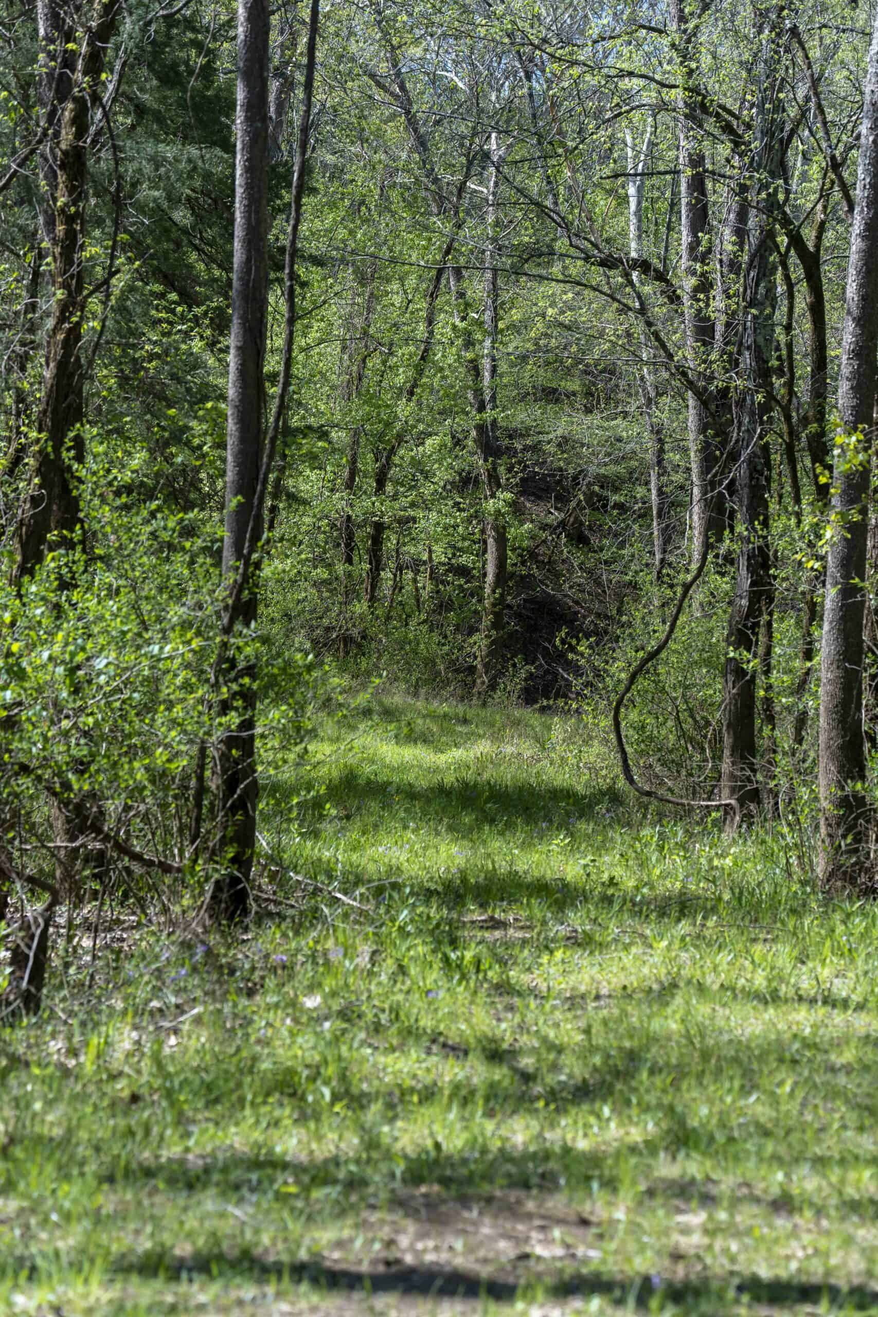Recreational Land for Sale in Maries County, MO
