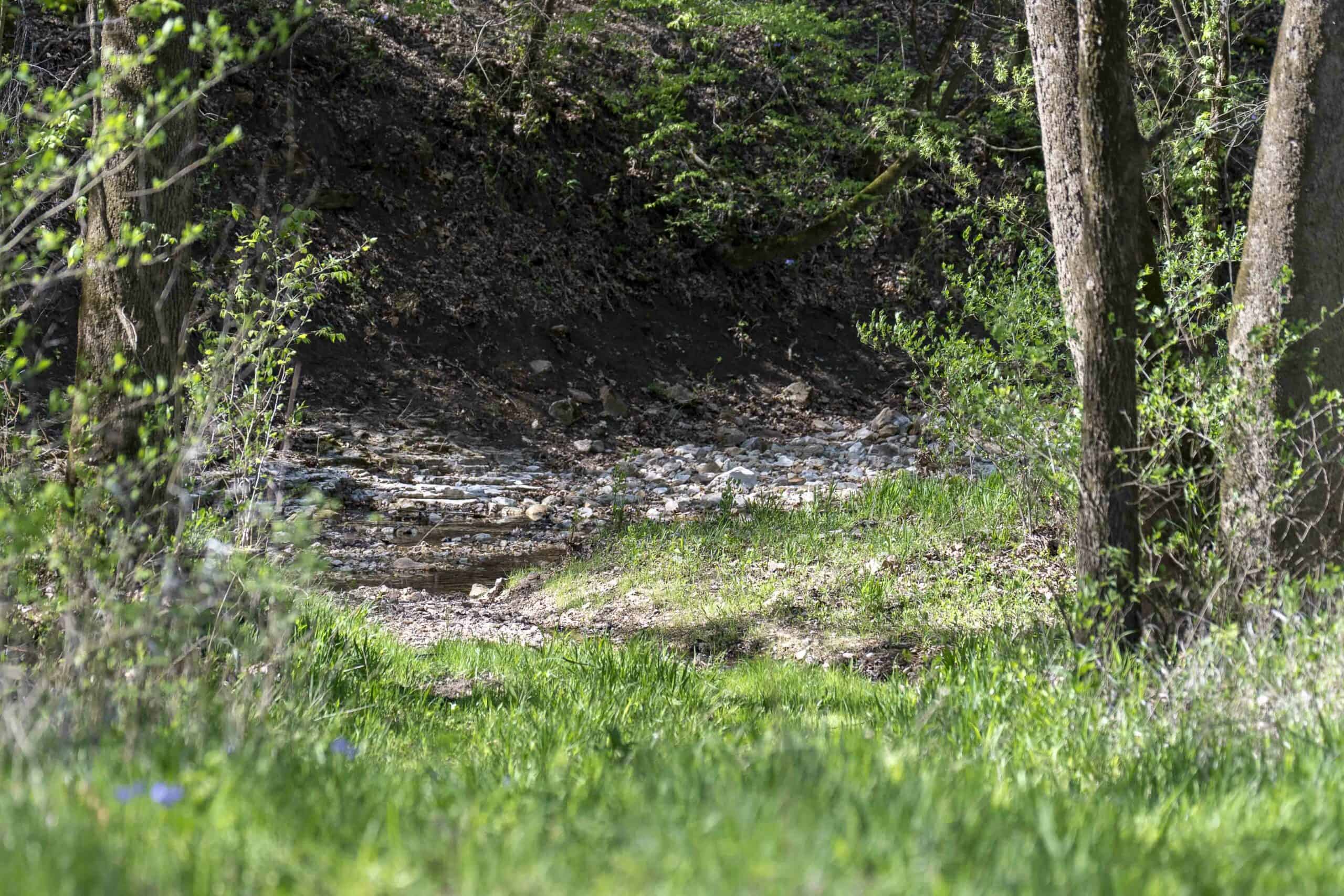 Recreational Land for Sale in Maries County, MO