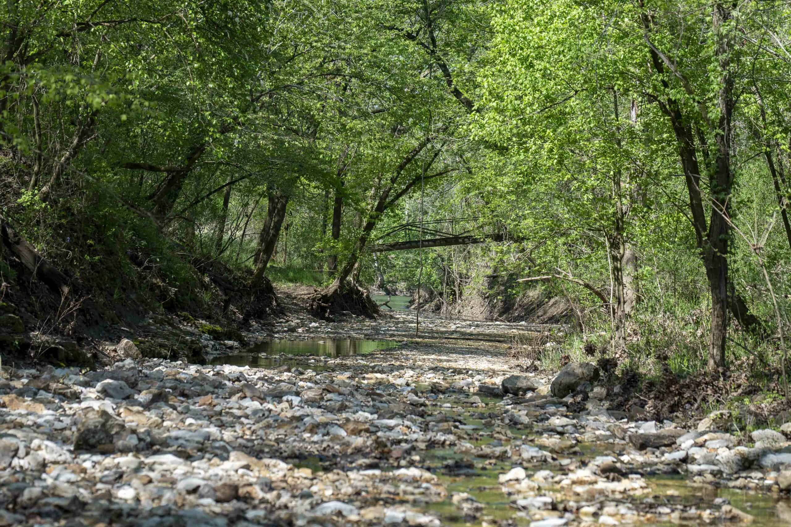 Recreational Land for Sale in Maries County, MO