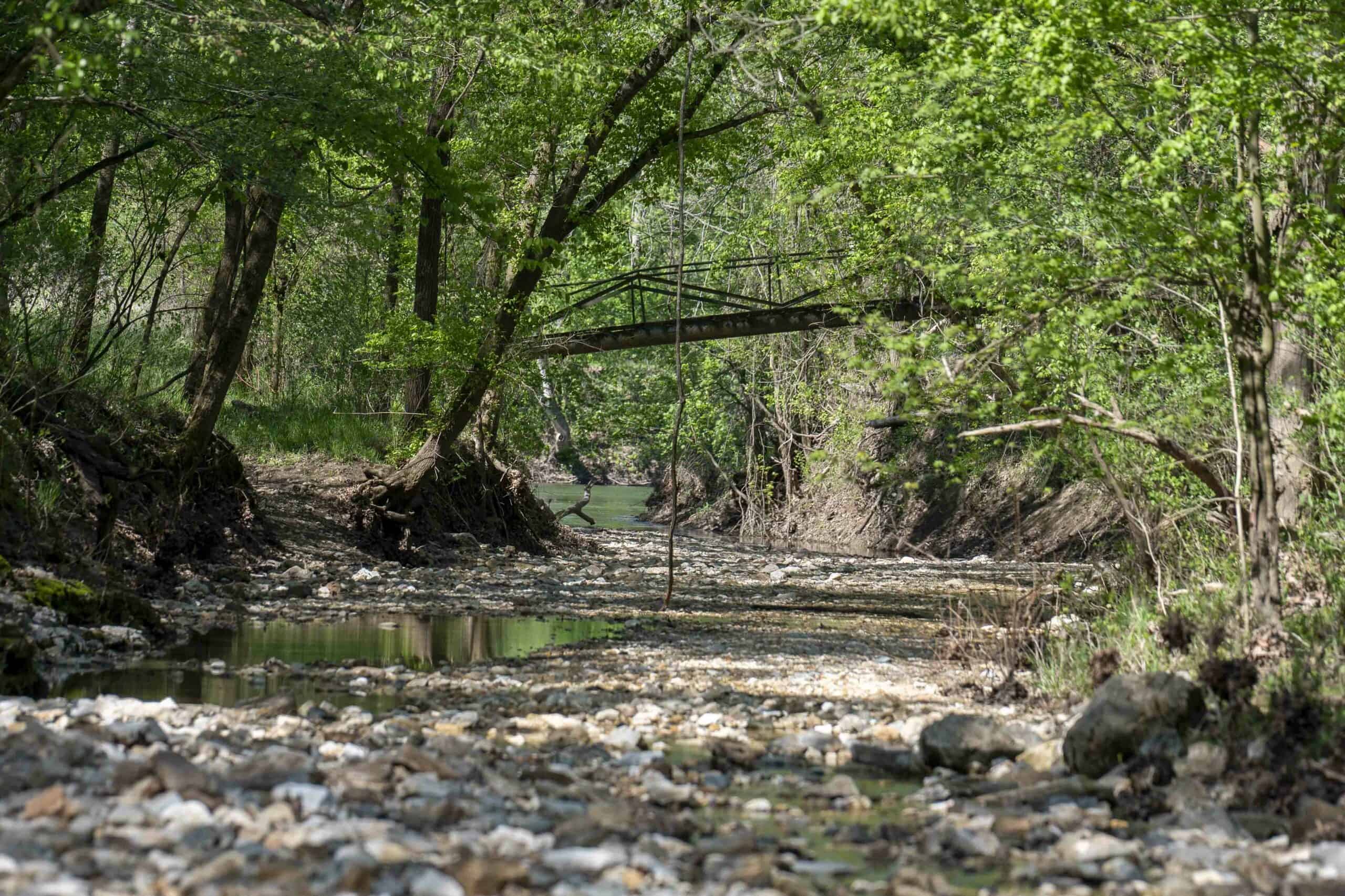Recreational Land for Sale in Maries County, MO