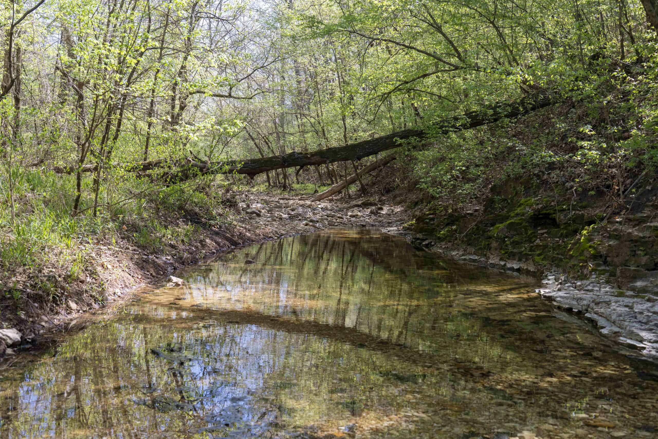 Recreational Land for Sale in Maries County, MO