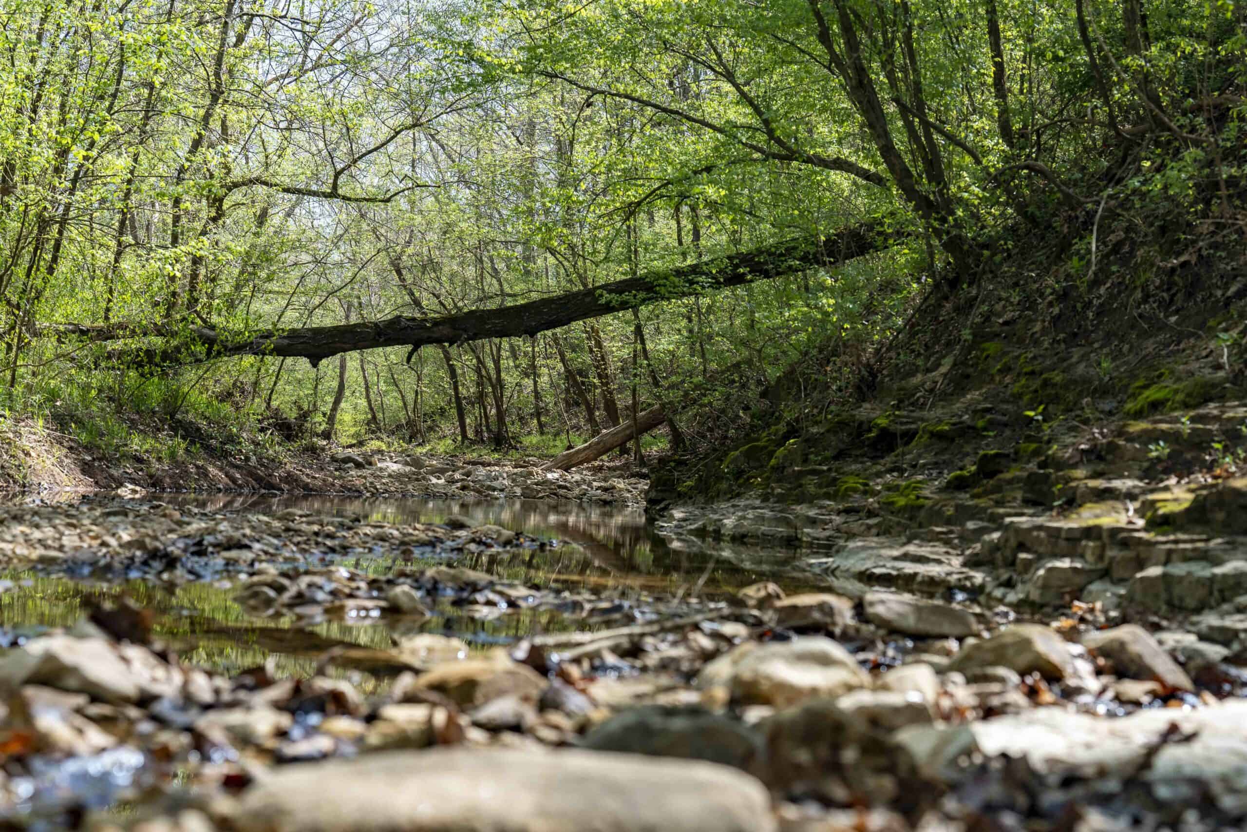 Recreational Land for Sale in Maries County, MO