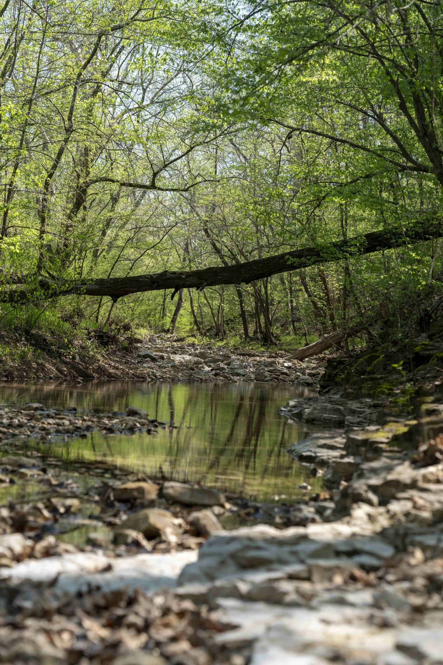 Recreational Land for Sale in Maries County, MO
