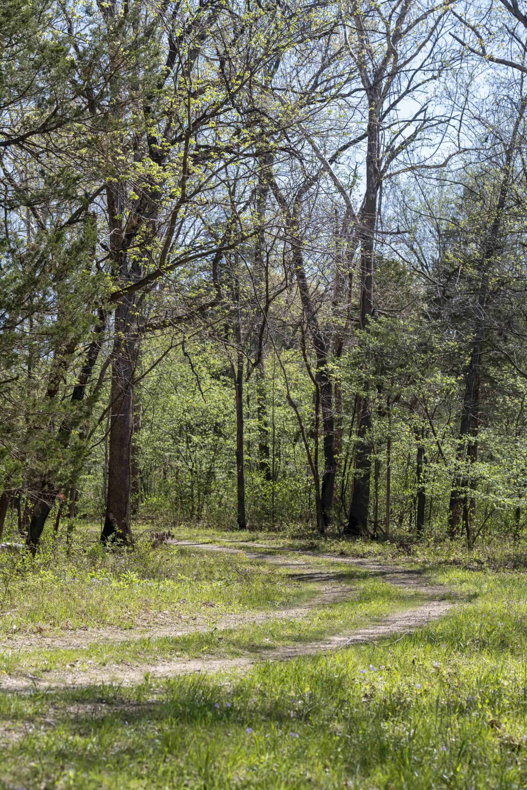 Recreational Land for Sale in Maries County, MO