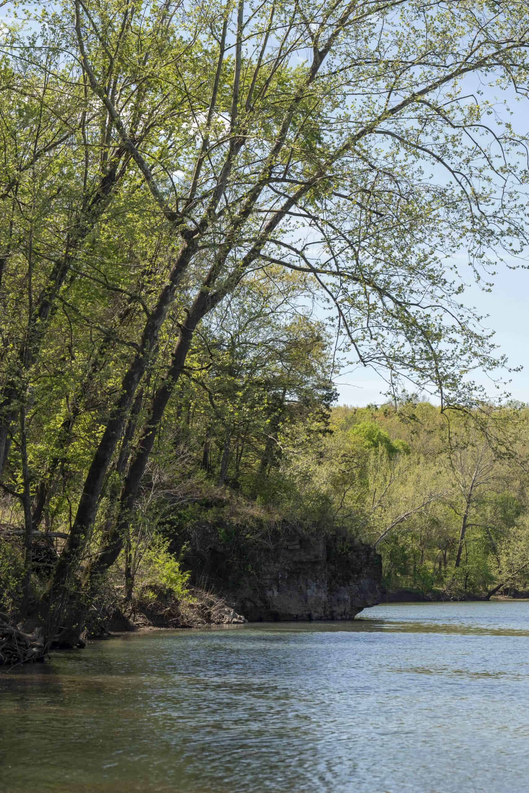 Recreational Land for Sale in Maries County, MO